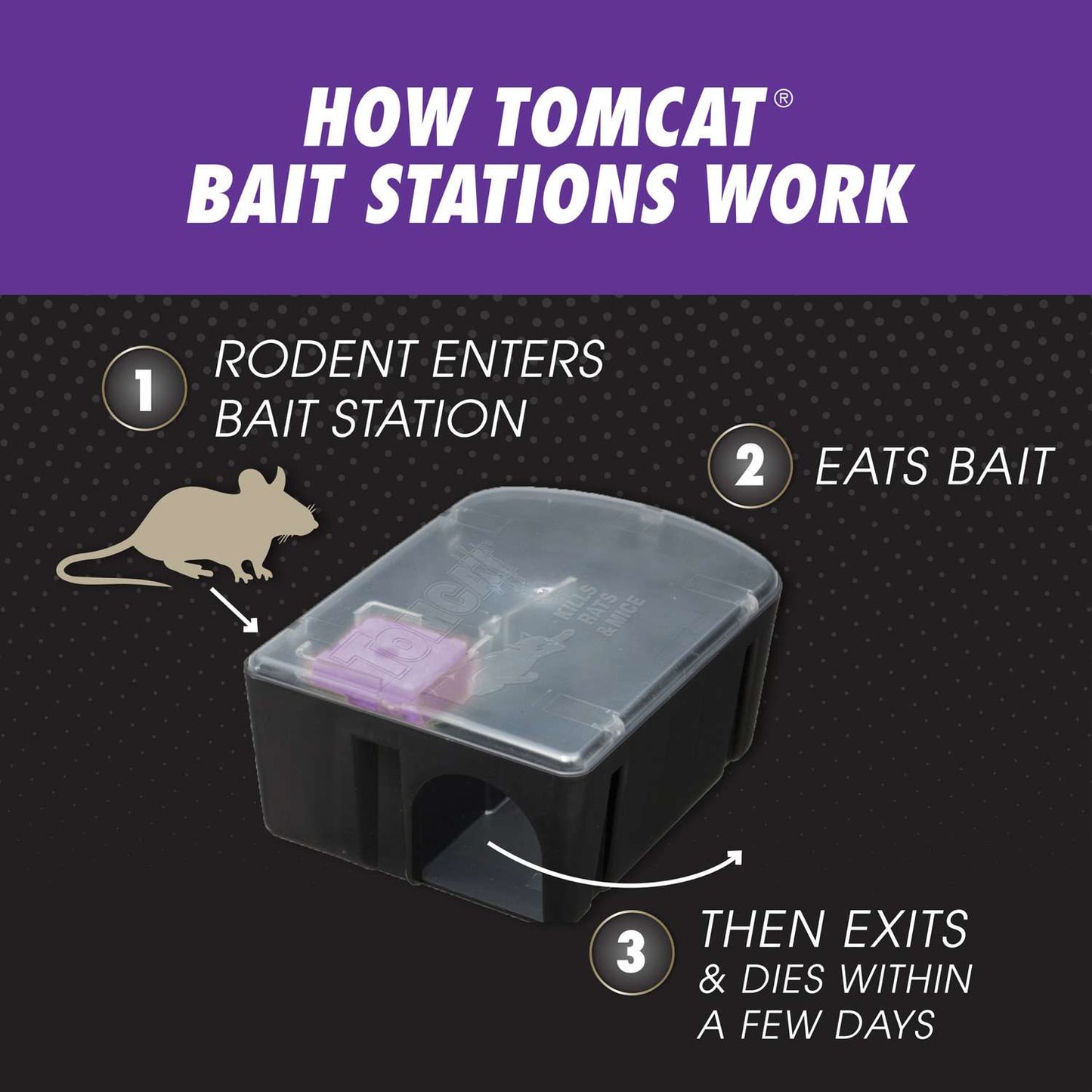  Tomcat Advanced Bait Station And Bait Blocks For Rats 12 Pk