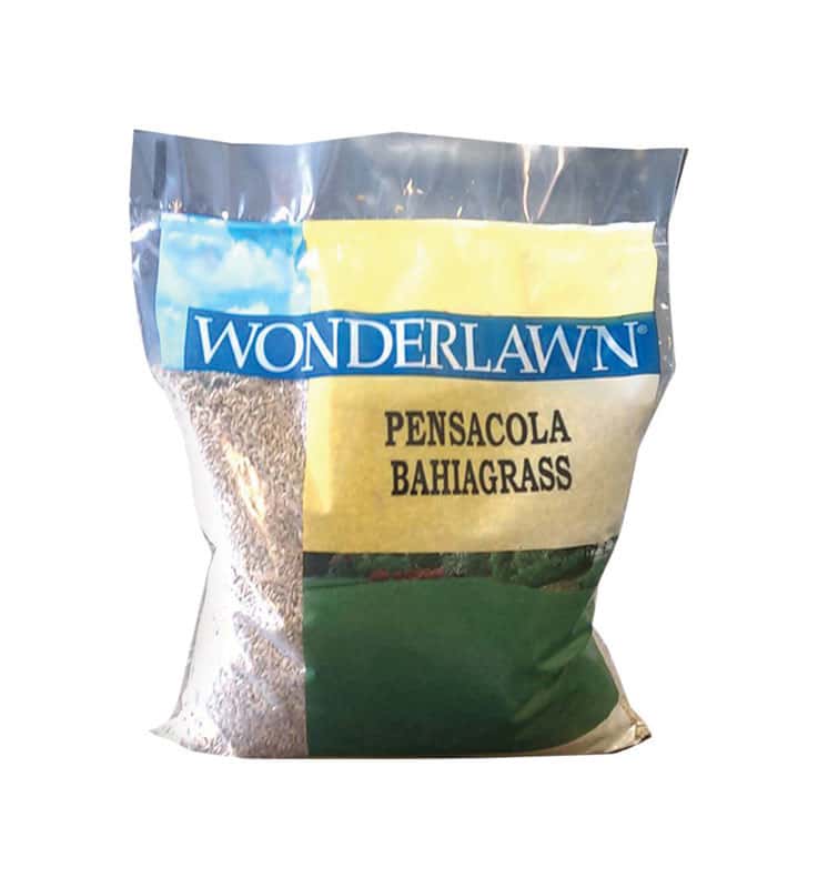 Barenbrug Wonderlawn Bahia Grass Full Sun Grass Seed 2 Lb