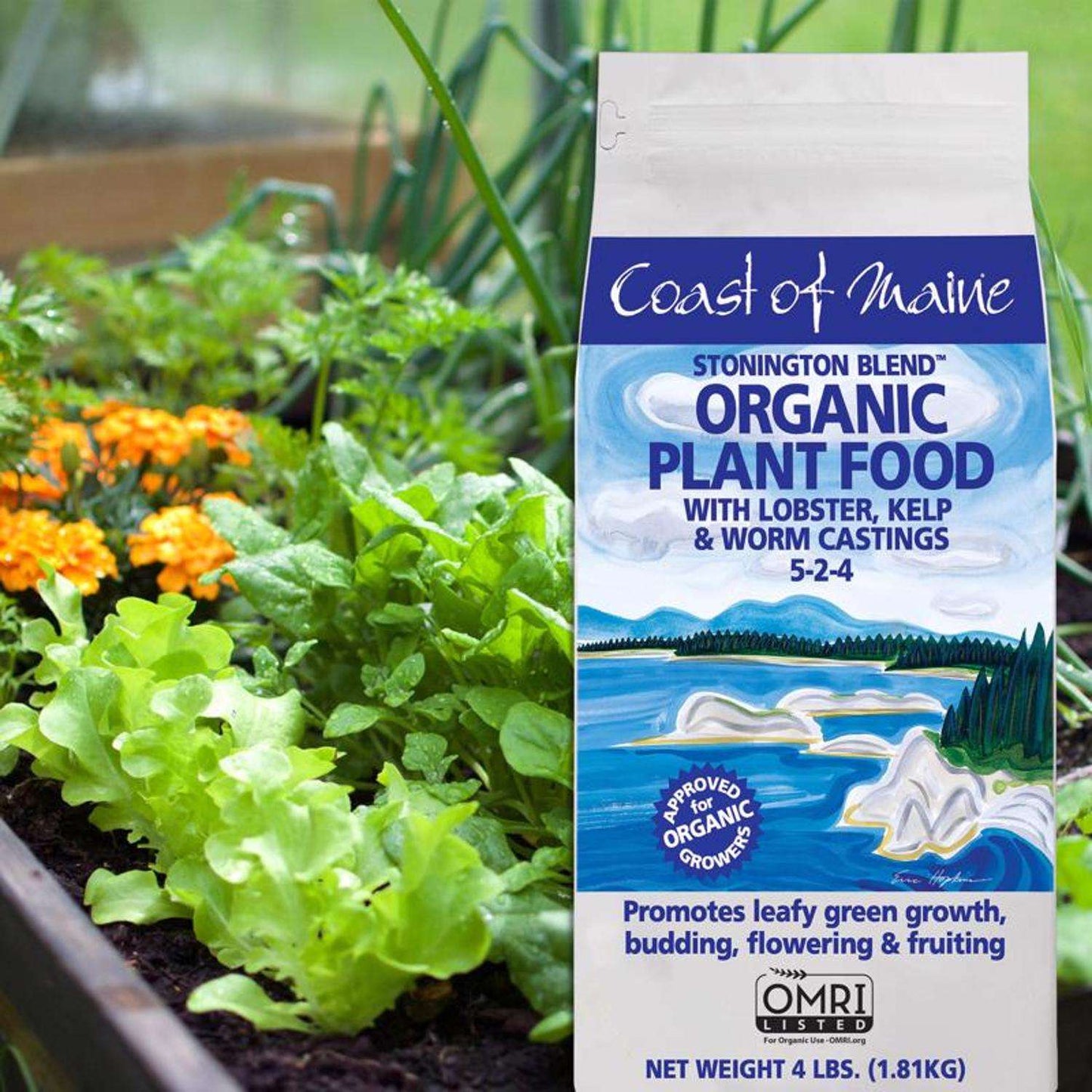  Coast Of Maine Stonington Blend Organic Granules All Purpose Plant Food 4 Lb
