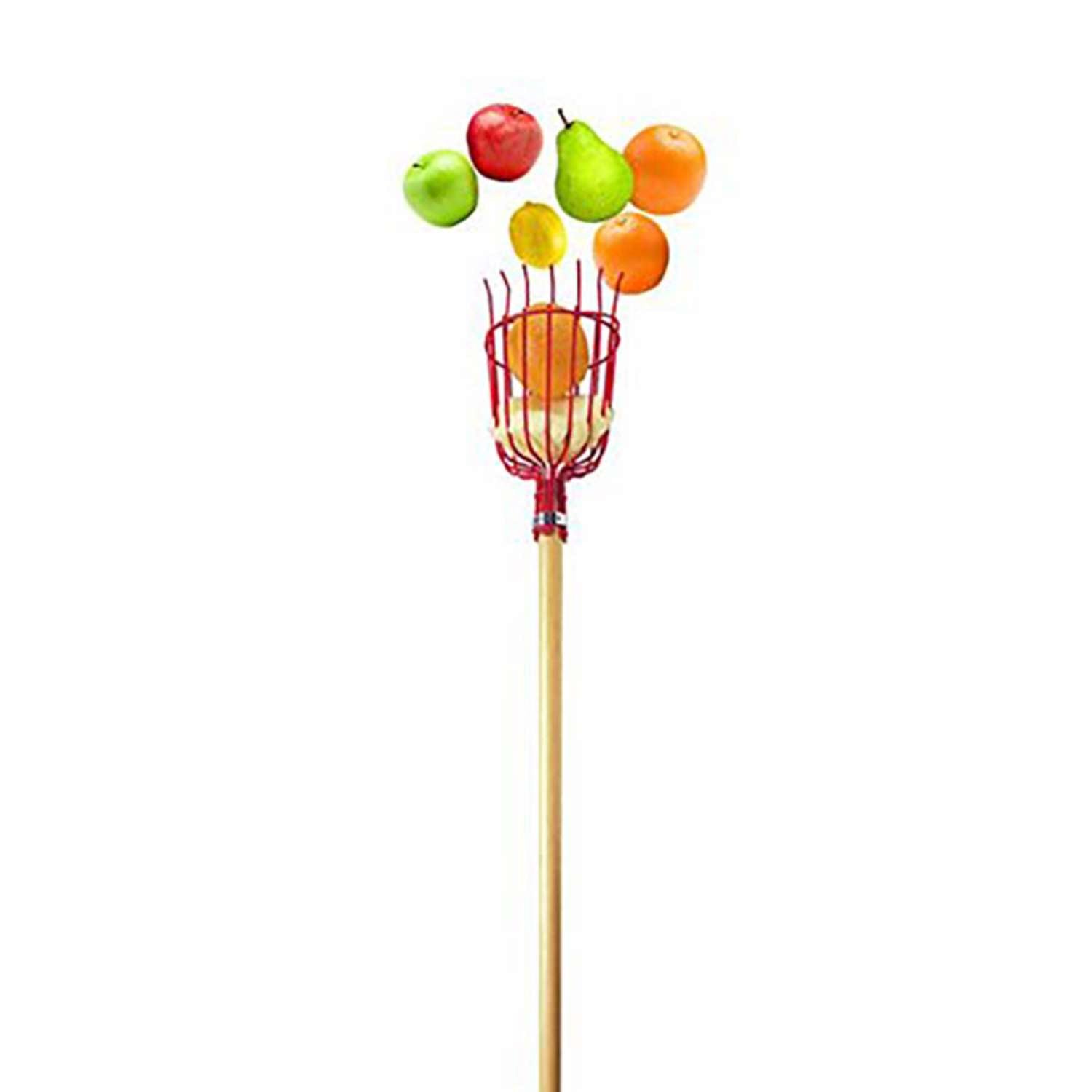  Bond 8 In. Fruit Picker Wood Handle