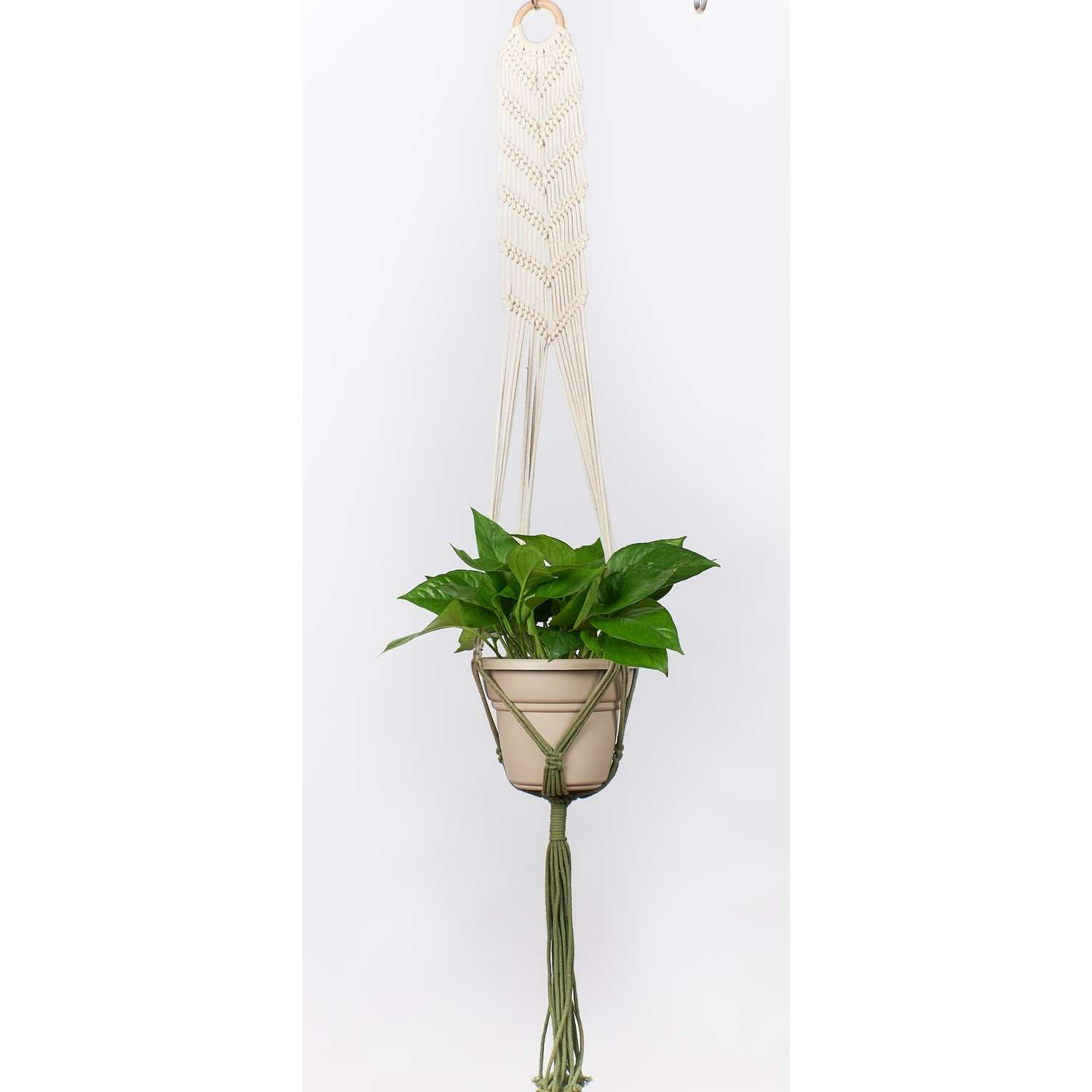  Primitive Planters Black/Cream Macrame 48 In. H Hammock Plant Hanger 1 Pk