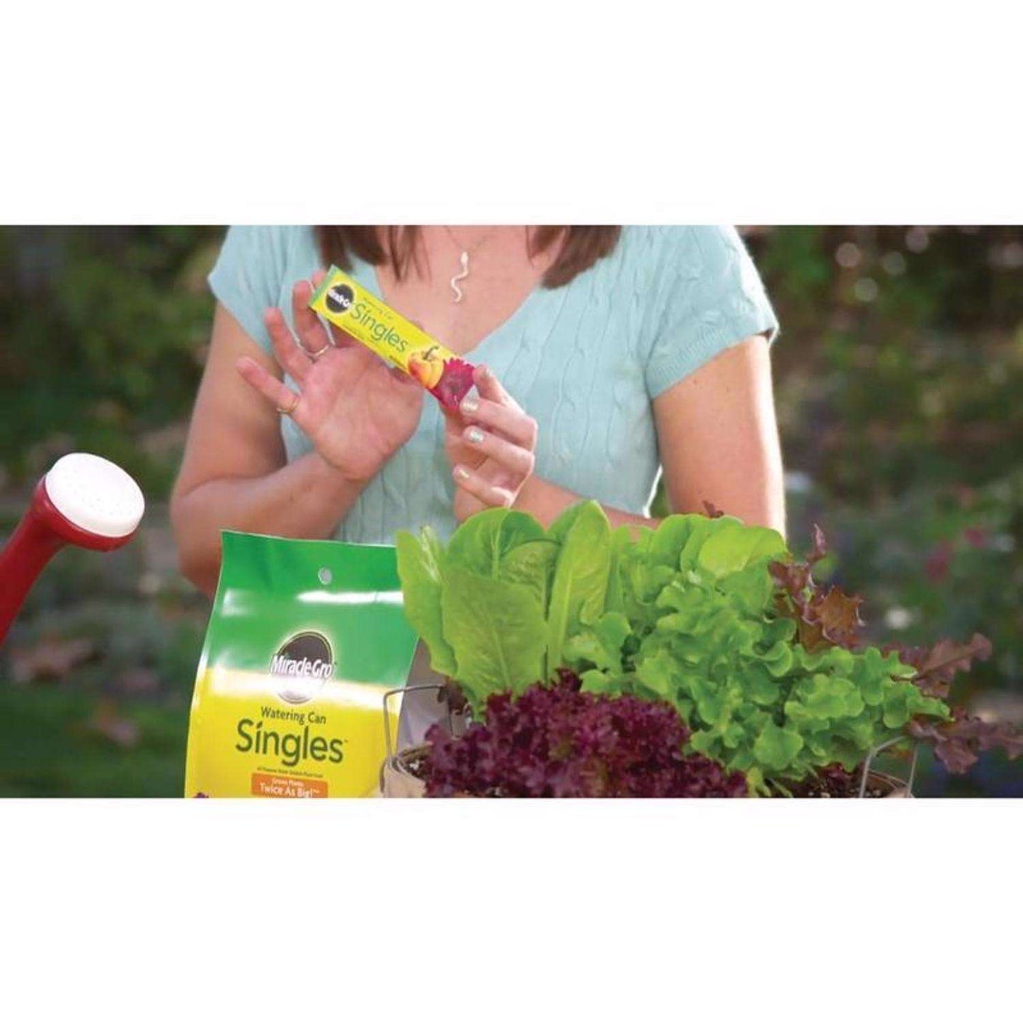  Miracle-Gro Watering Can Singles Powder All Purpose Plant Food 24 Pk