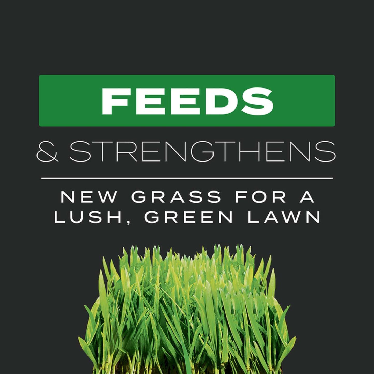  Scotts Turf Builder Pre Emergent Preventer & Fertilizer Lawn Fertilizer For All Grasses 4000 Sq Ft