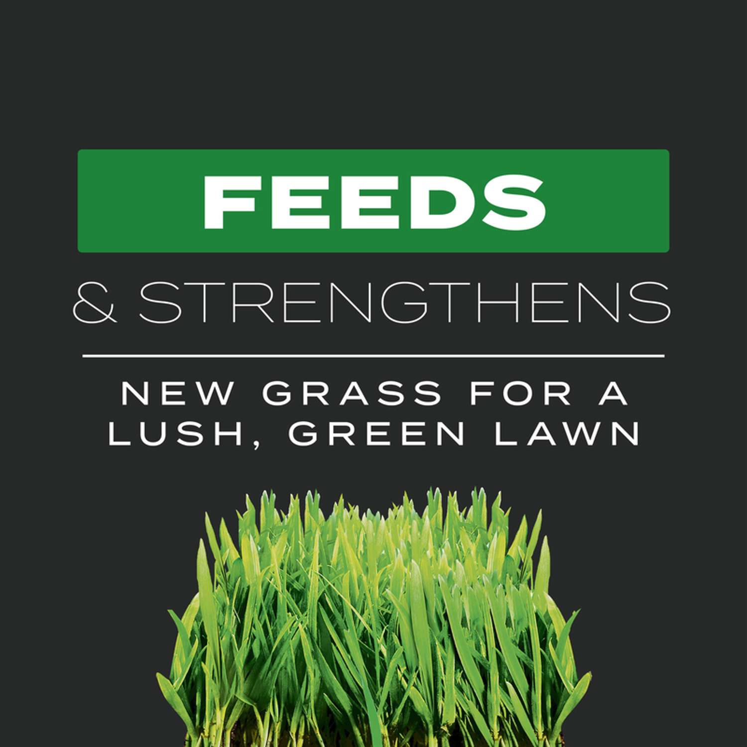  Scotts Turf Builder Pre Emergent Preventer & Fertilizer Lawn Fertilizer For All Grasses 4000 Sq Ft