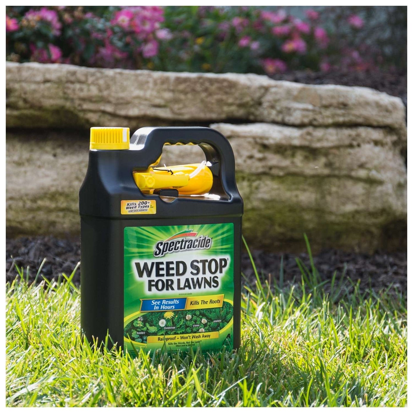  Spectracide Weed Stop Weed Killer RTU Liquid 1 Gal