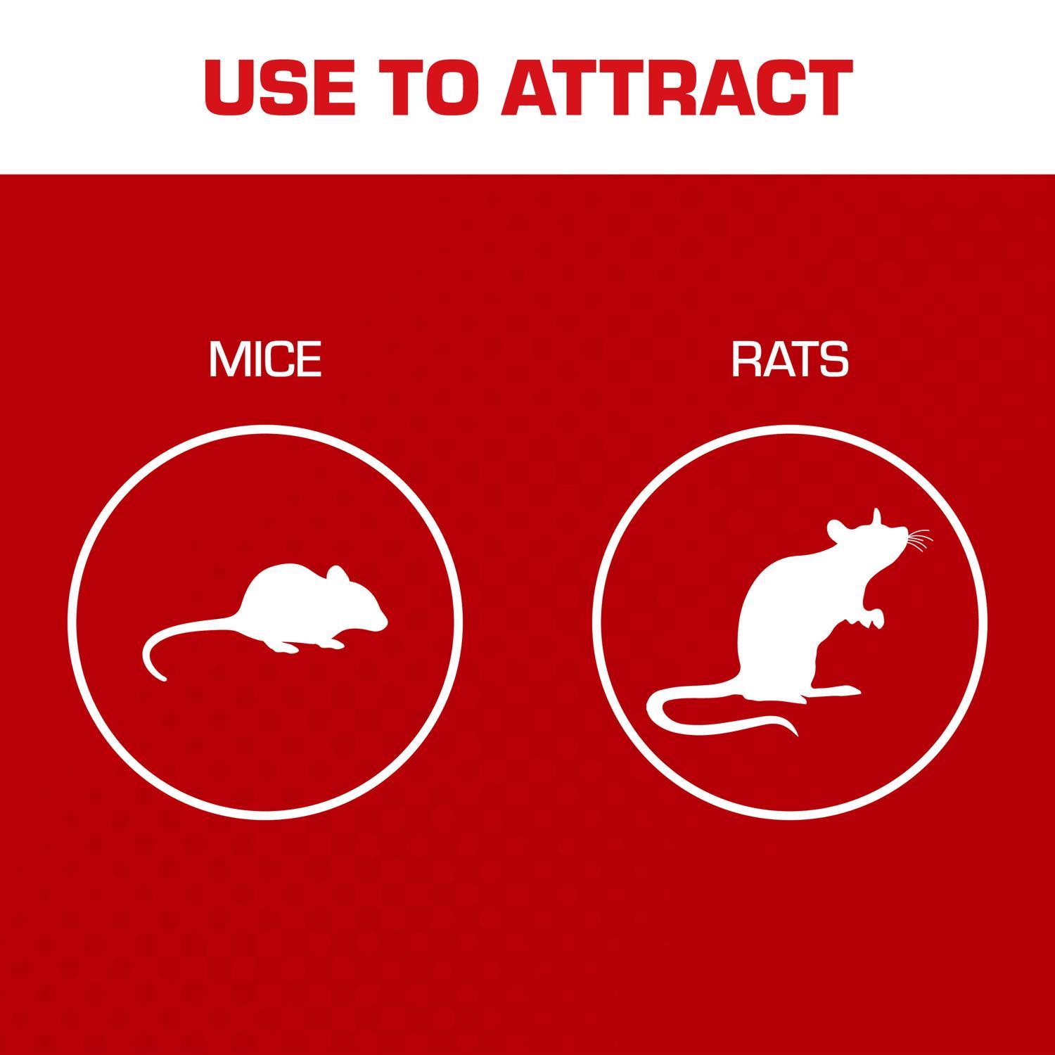  Tomcat Bait Gel For Mice And Rats 1 Oz 1 Pk