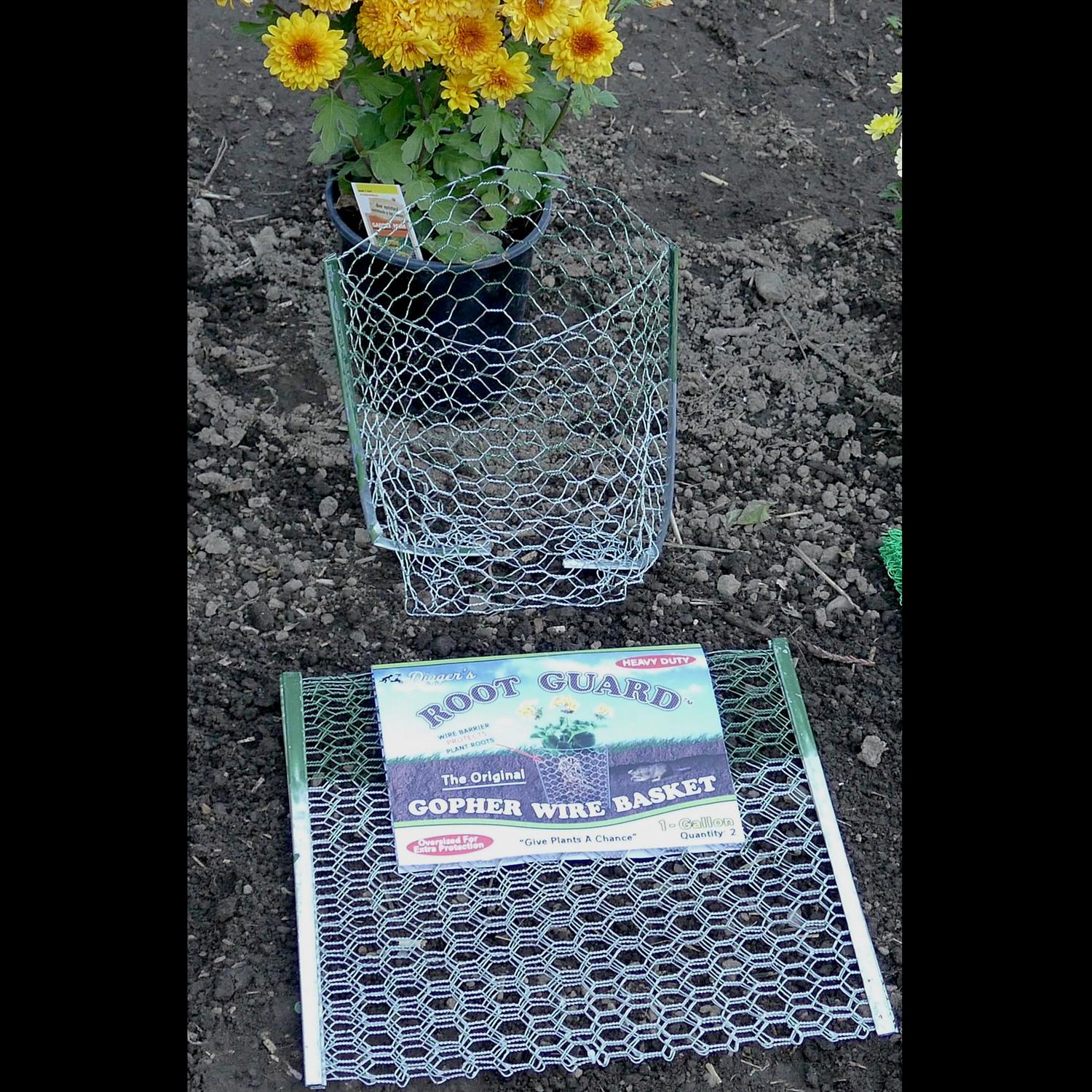  Digger's Root Guard 13.5 In. H X 13 In. W X 0.3 In. D Silver Coated Wire Gopher Wire Basket
