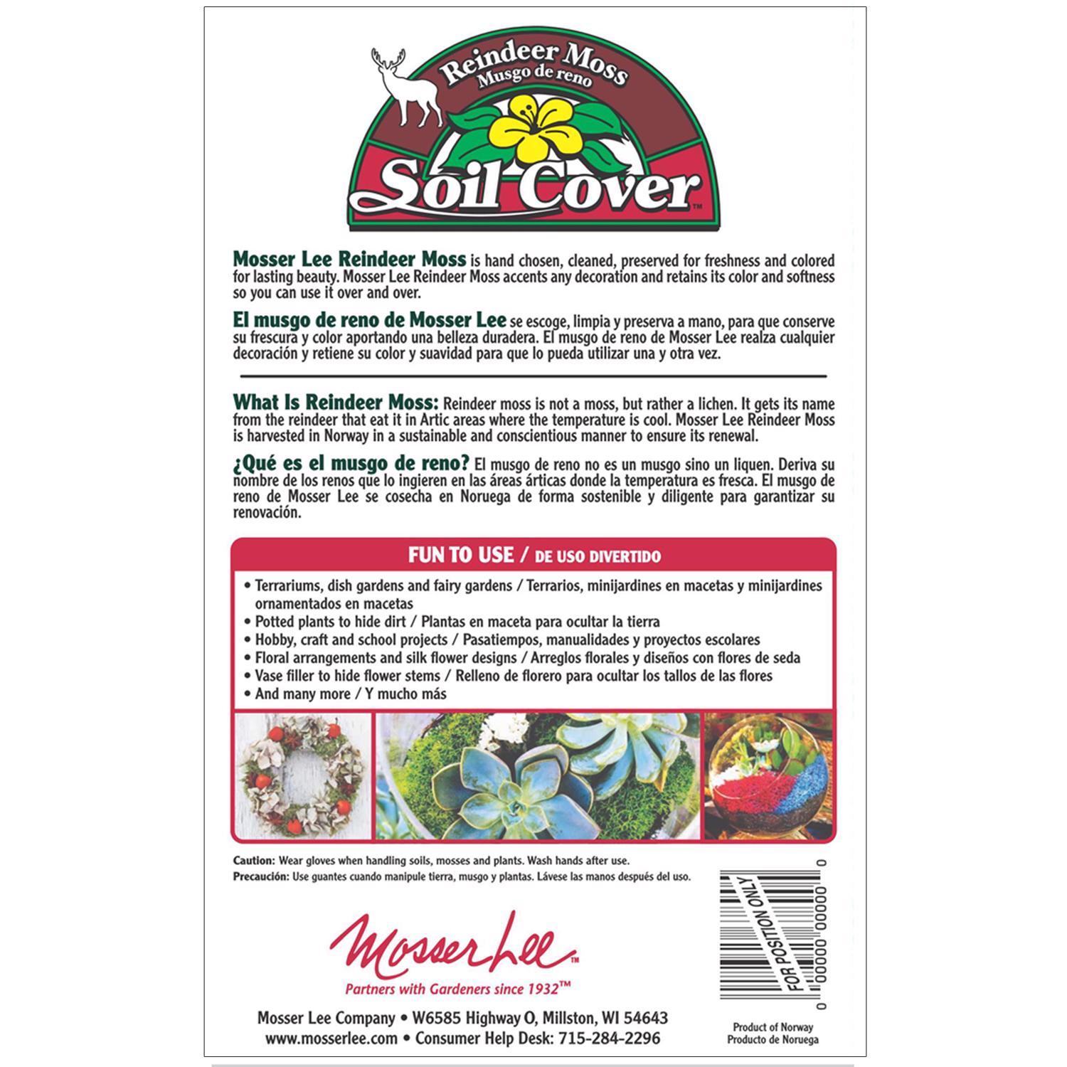  Mosser Lee Soil Cover Organic Dark Green Reindeer Moss 3 Oz