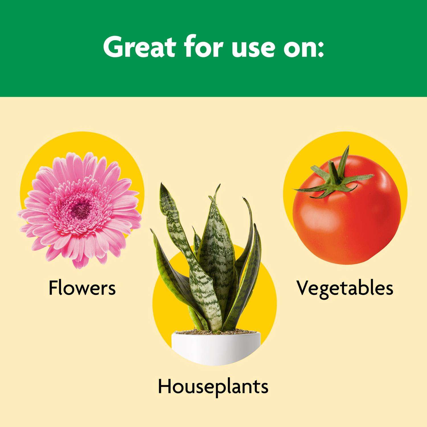  Miracle-Gro Shake 'n Feed Granules All Purpose Plant Food 8 Lb