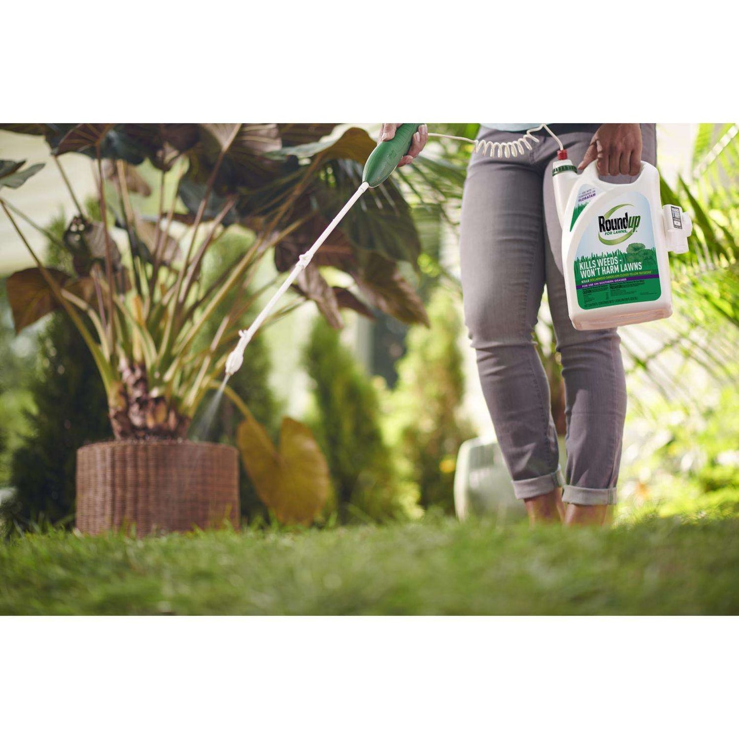  Roundup For Lawns4 Weed Killer RTU Liquid 1 Gal