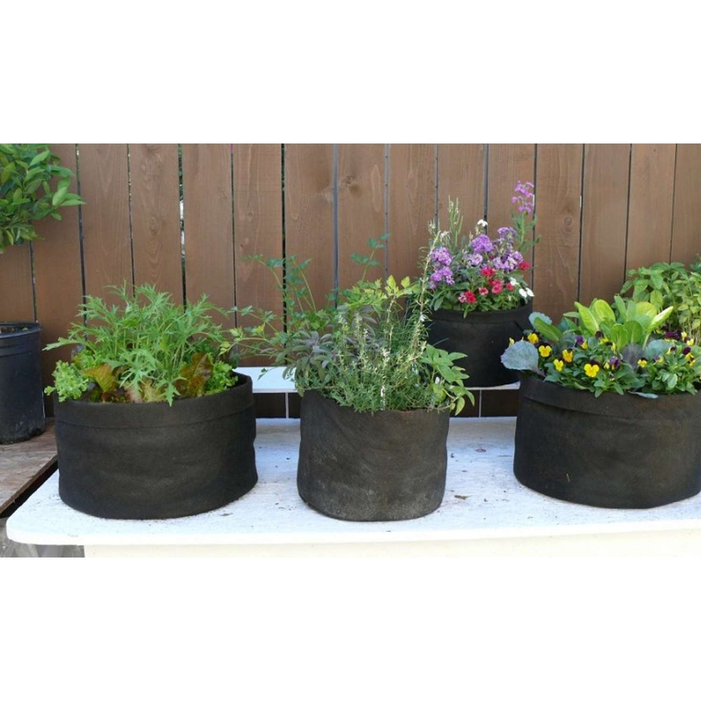  Smart Pot 15.5 In. H X 20 In. W X 20 In. D X 20 In. D Geo-Thermal Fabric Grow Bag Planter Black