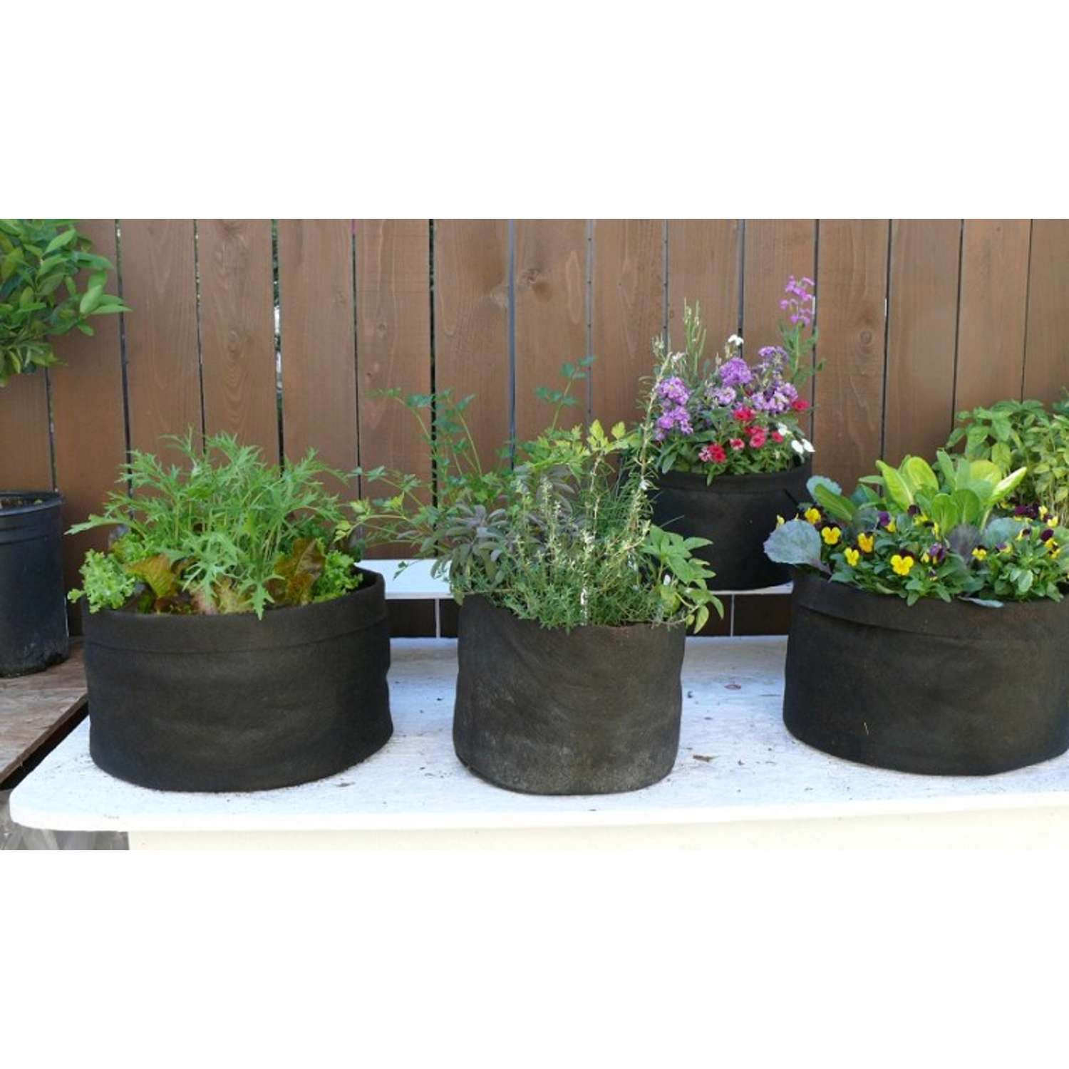  Smart Pot 15.5 In. H X 20 In. W X 20 In. D X 20 In. D Geo-Thermal Fabric Grow Bag Planter Black