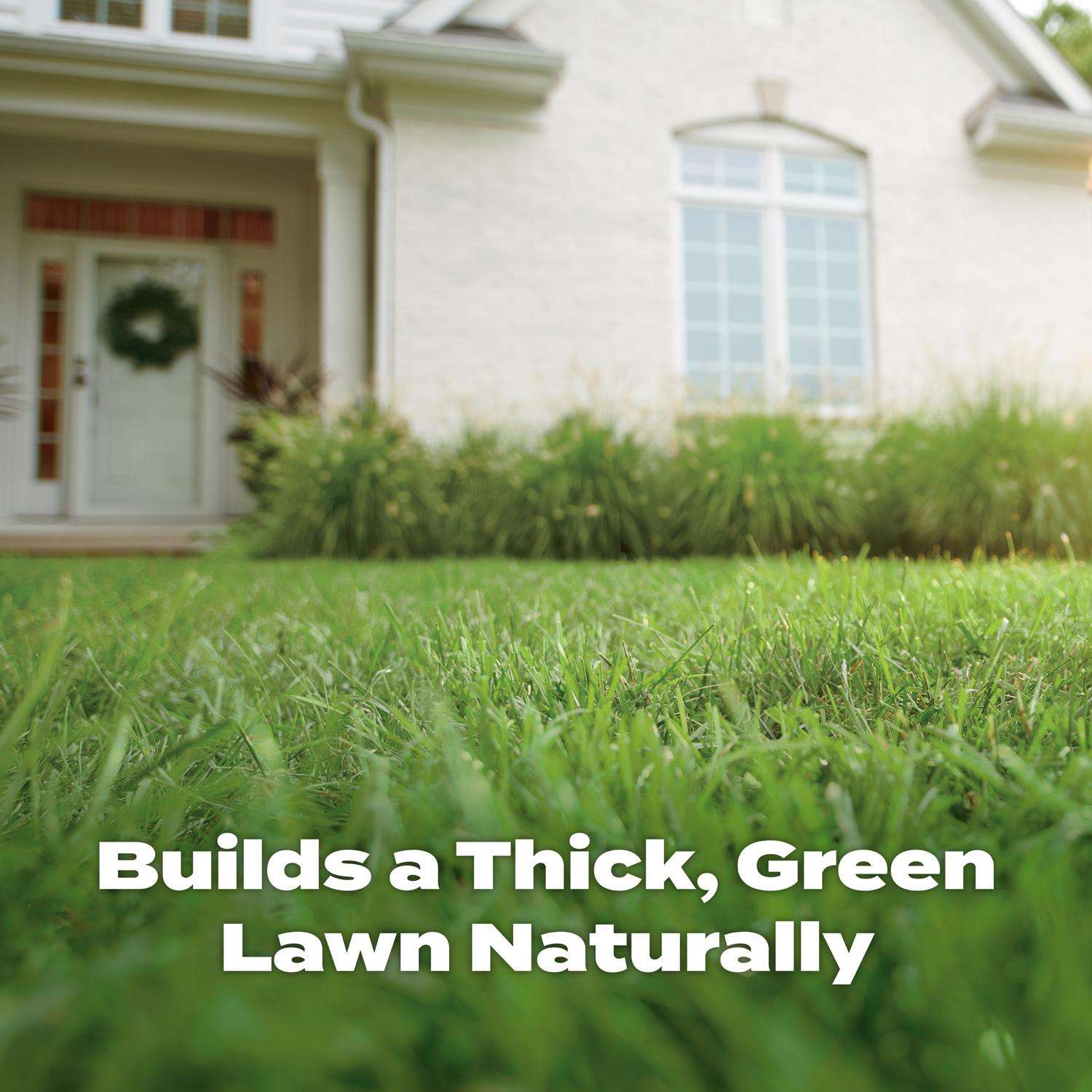  Scotts Natural All-Purpose Lawn Fertilizer For All Grasses 4000 Sq Ft