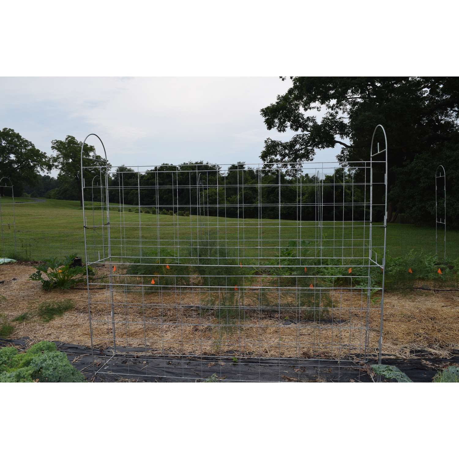  Trellis King 30 In. H Gray Steel Trellis