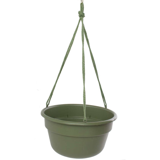  Bloem 6.8 In. H X 12.4 In. D Resin Dura Cotta Hanging Basket Living Green