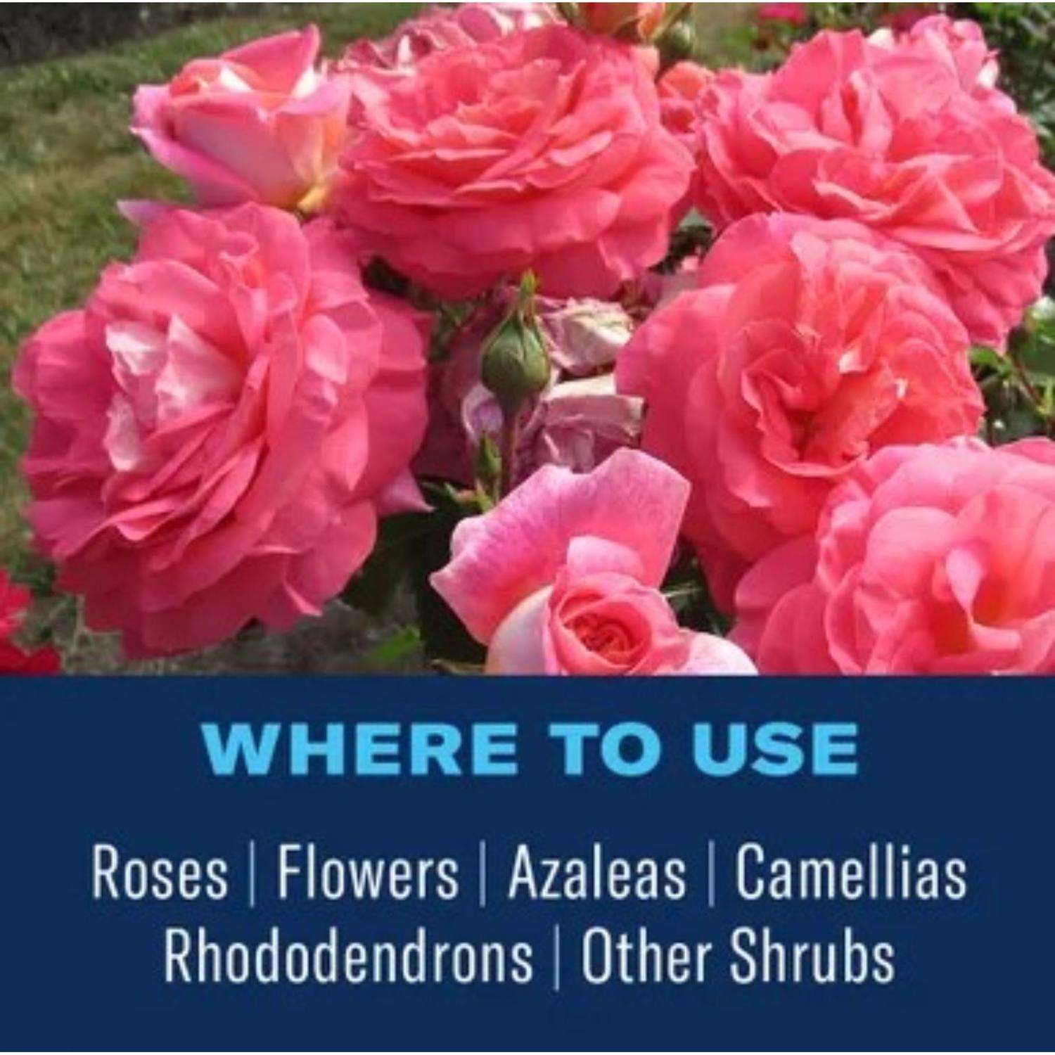  BioAdvanced Rose & Flower Care Granules Plant Food 4 Lb
