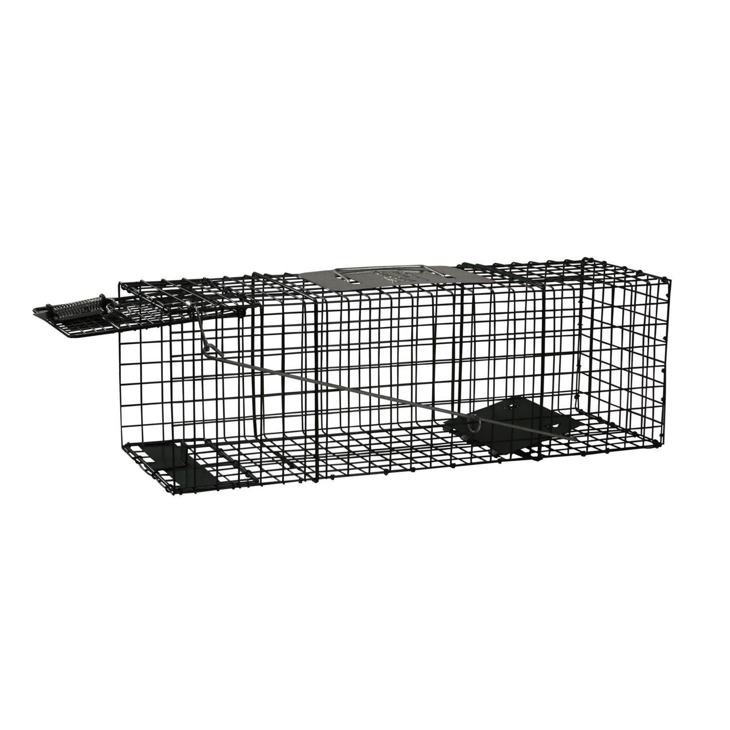  Intruder Relocator Medium Live Catch Animal Trap For Rabbits 1 Pk