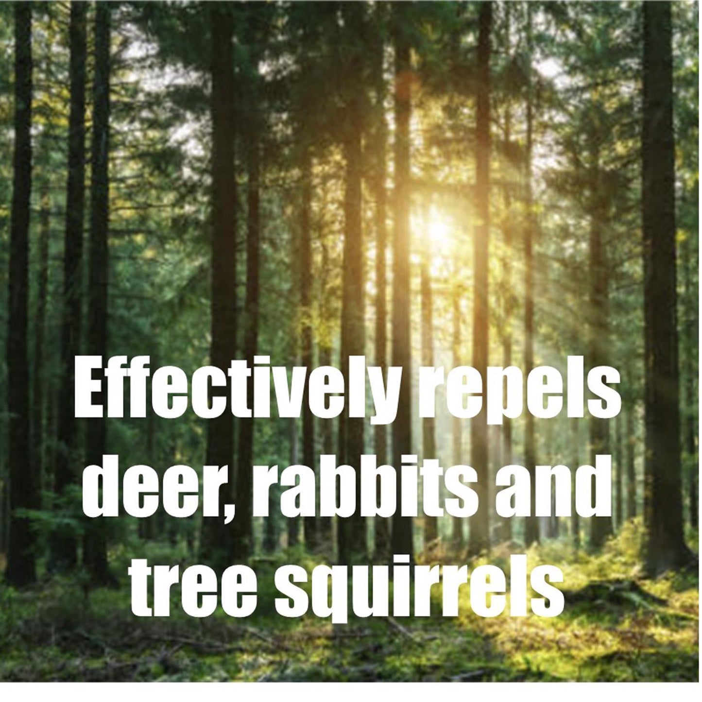  Safer Brand Deer Off Animal Repellent Liquid For Deer And Rabbits 32 Oz