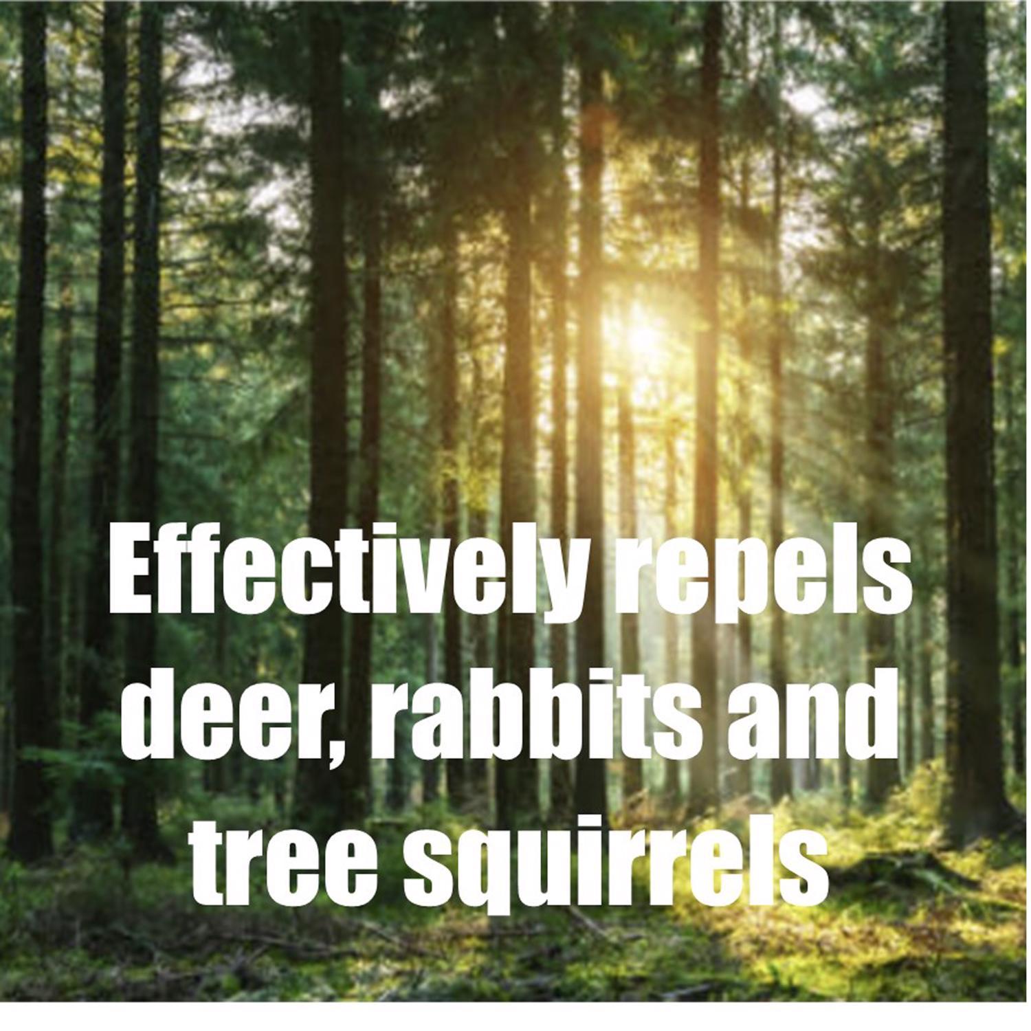  Safer Brand Deer Off Animal Repellent Liquid For Deer And Rabbits 32 Oz