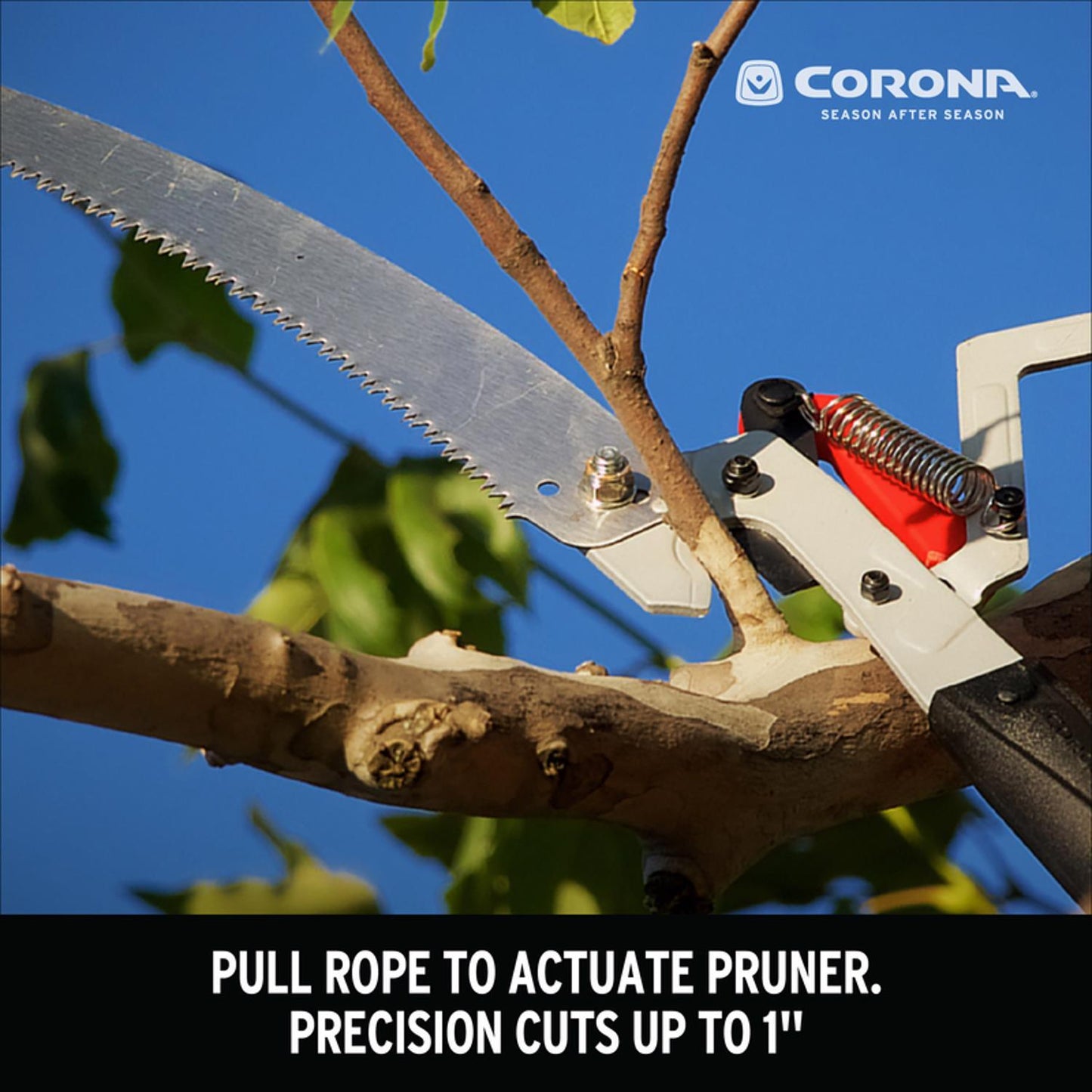  Corona DualLINK 12 Ft. Steel Tempered Tree Pruner