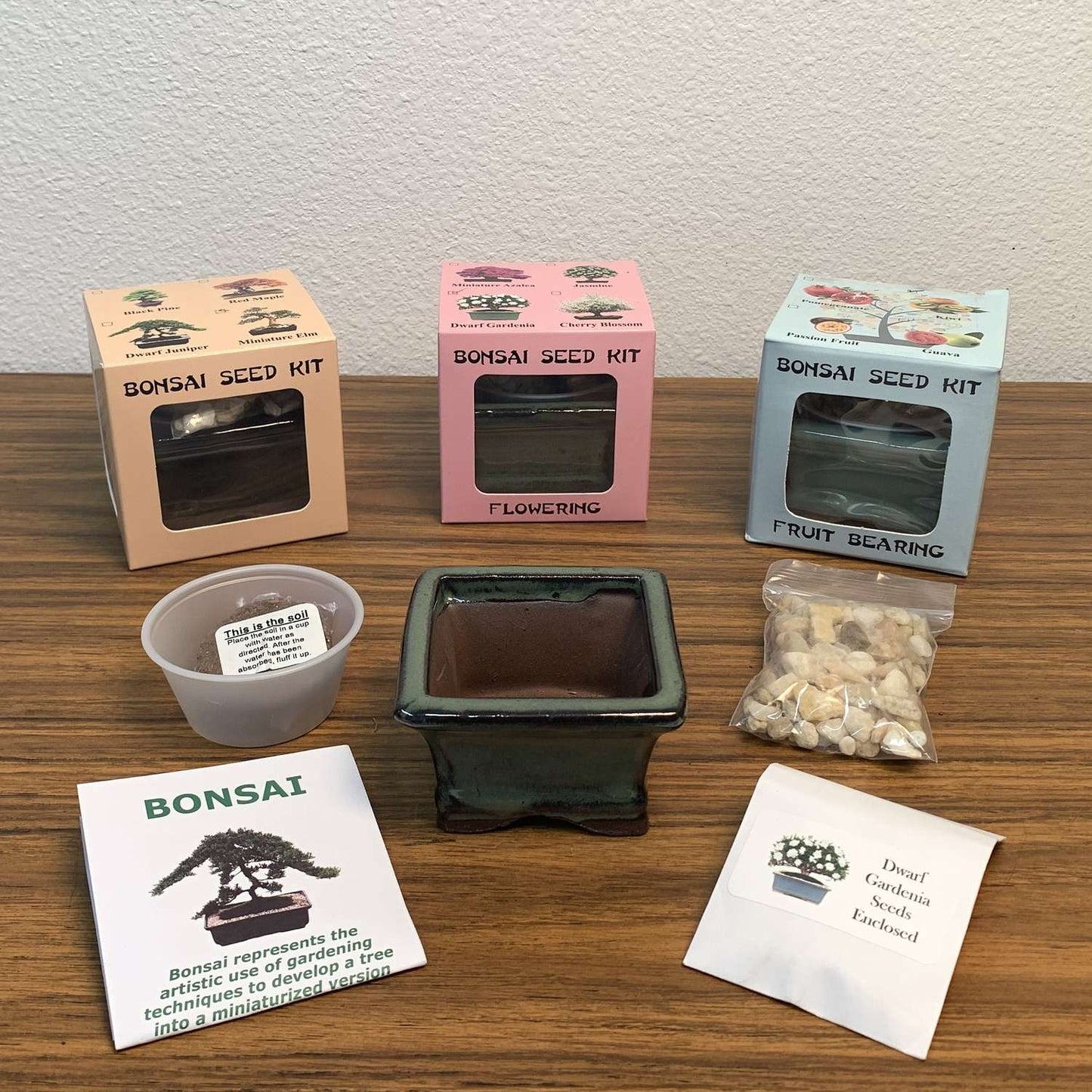  Eve's Garden Succulent Gift Box Planter 1 Pk