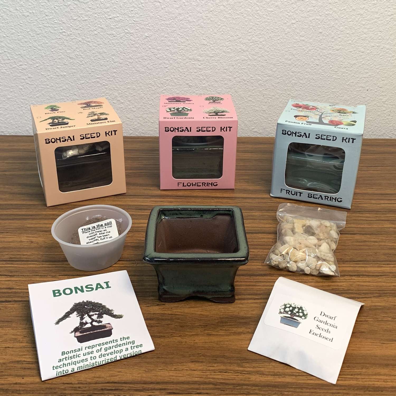  Eve's Garden Succulent Gift Box Planter 1 Pk
