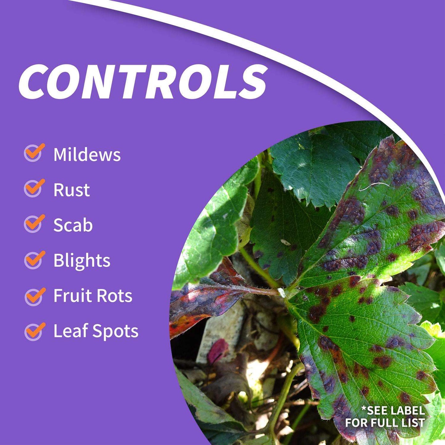  Bonide Fung-onil Concentrated Liquid Fungicide 16 Oz