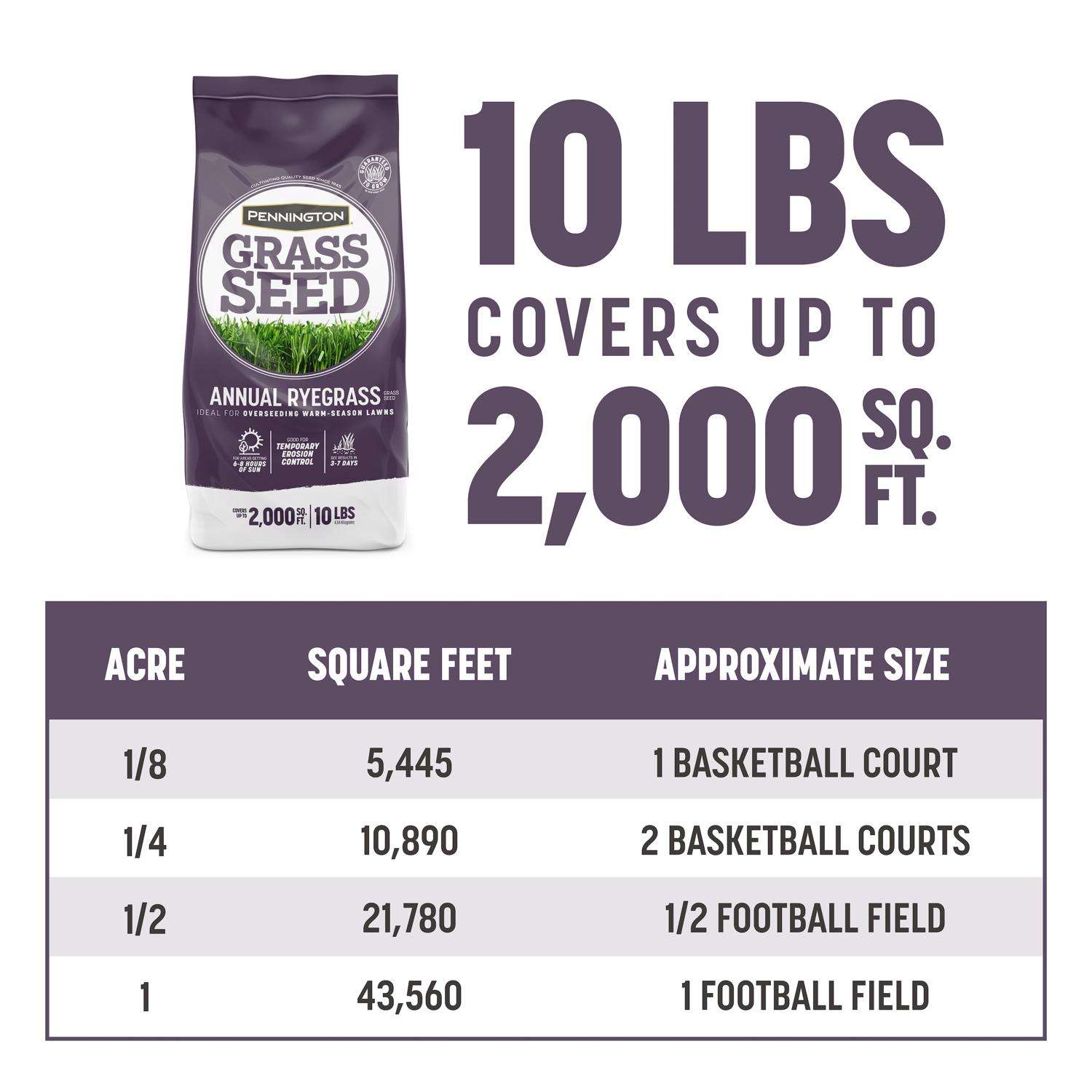  Pennington Annual Ryegrass Sun Or Shade Grass Seed 10 Lb