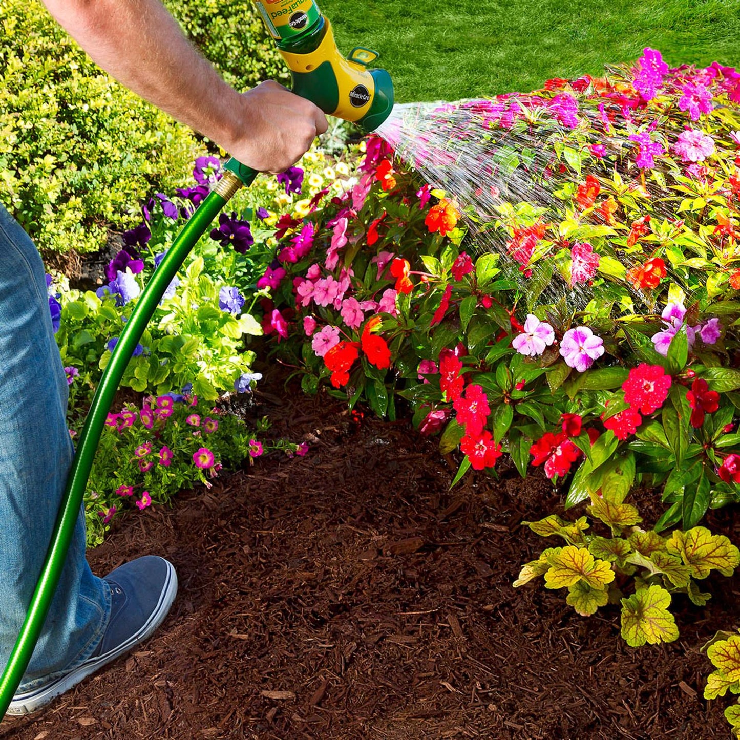  Miracle-Gro LiquaFeed Liquid Plant Food Starter Kit 16 Oz