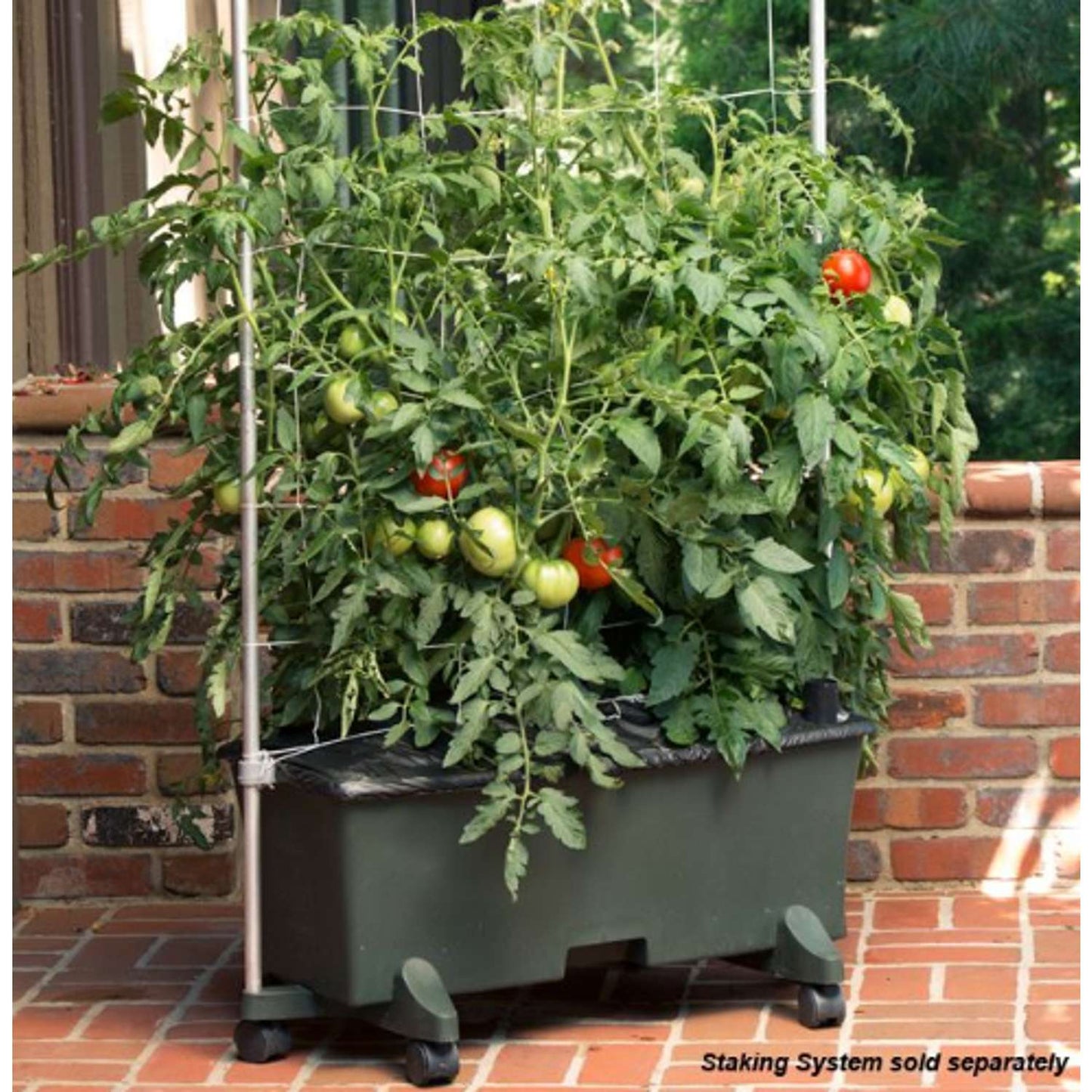  EarthBOX Seed Starting Kit 1 Pk