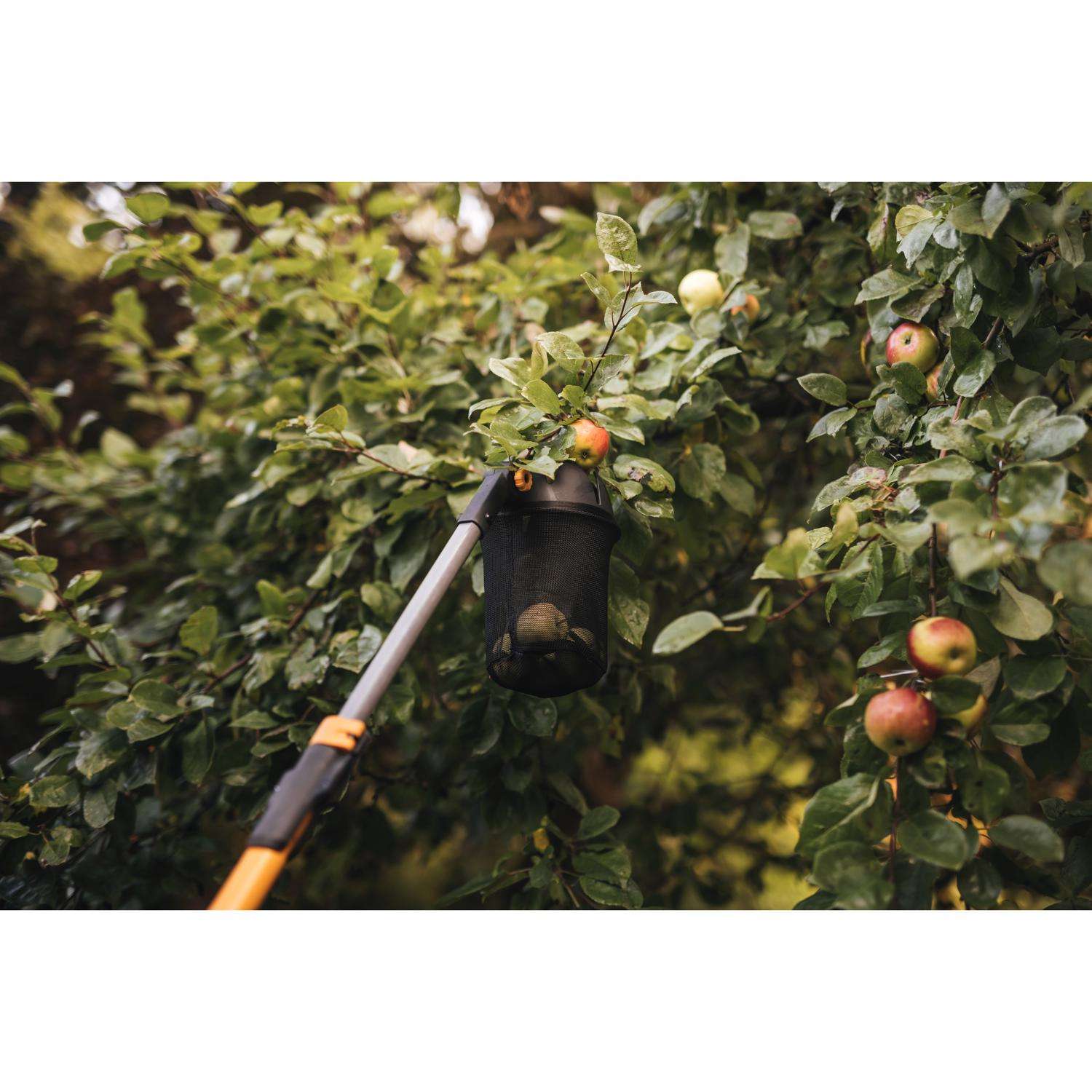  Fiskars 144 In. Extendable Fruit Picker Tool