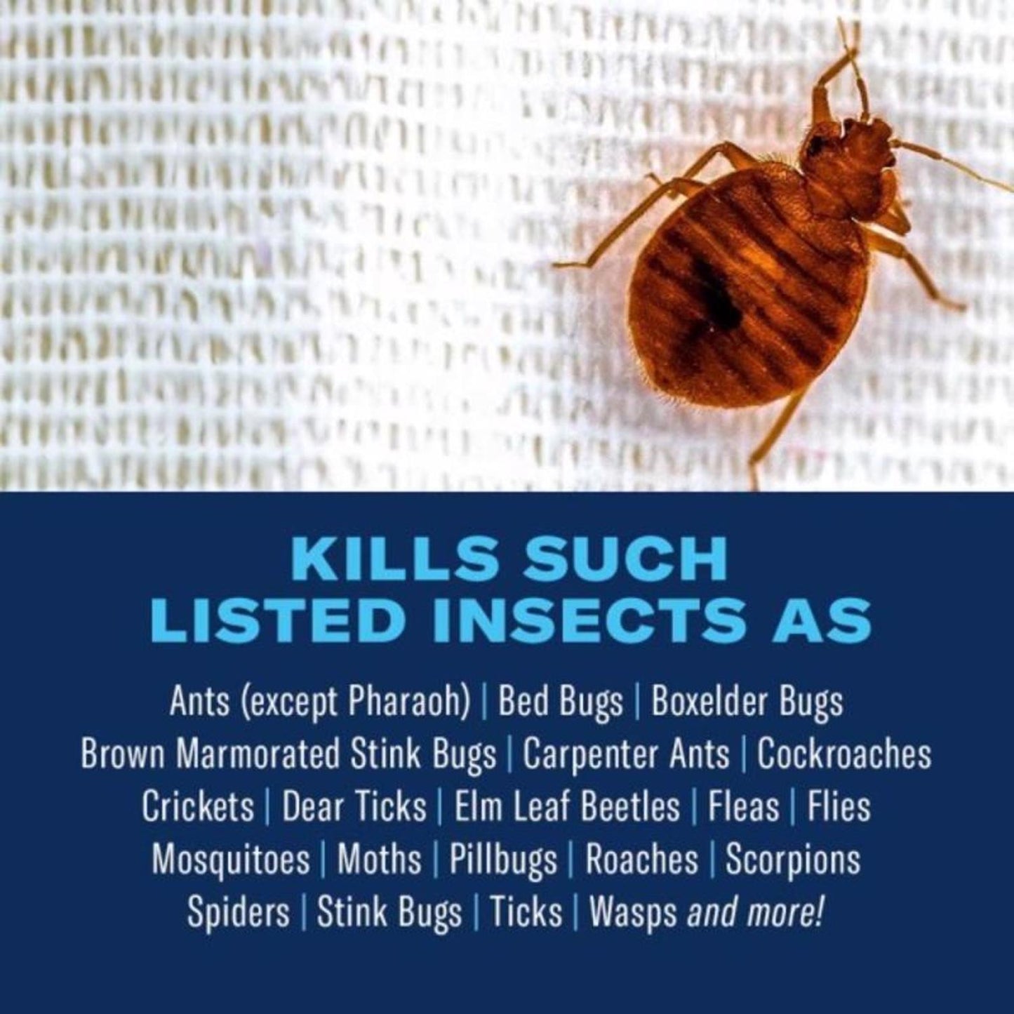  BioAdvanced Home Pest Bed Bug And Flea Killer Continuous Spray 15.7 Oz