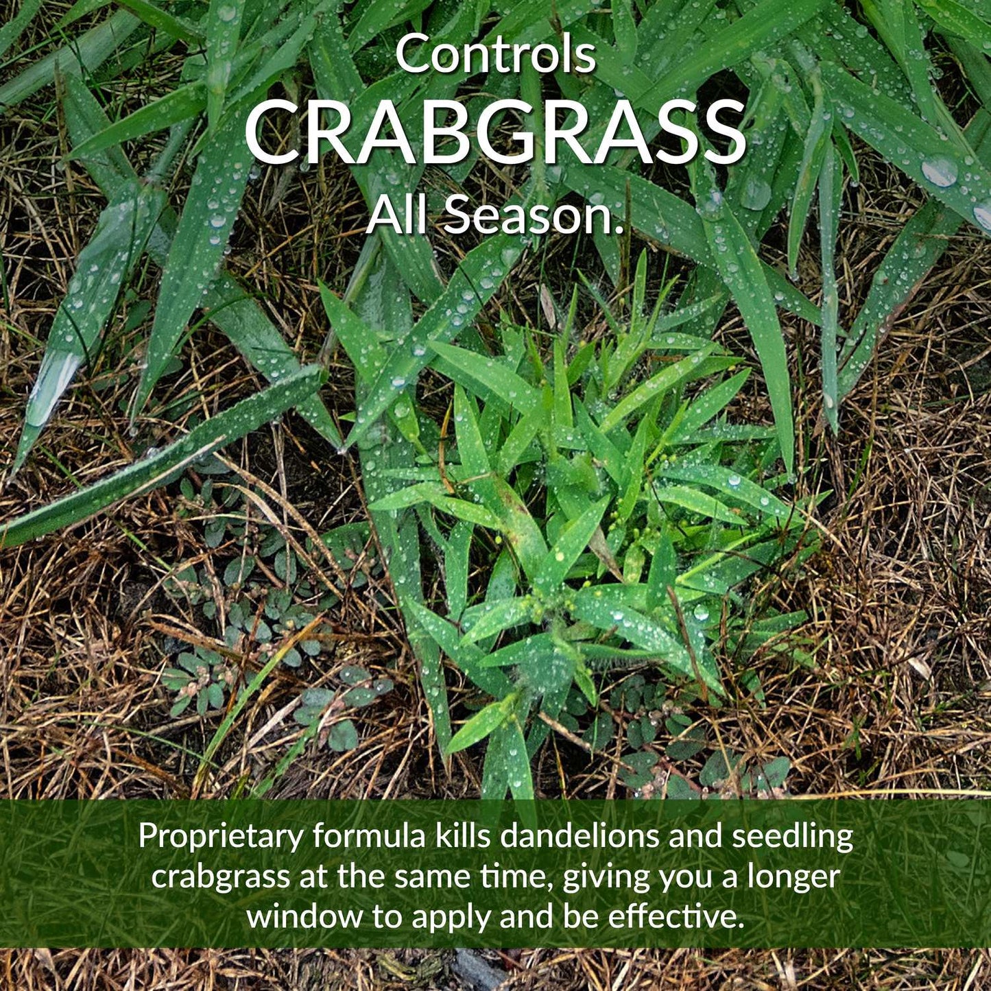  GreenView Fairway Formula Weed & Crabgrass Lawn Fertilizer For All Grasses 5000 Sq Ft