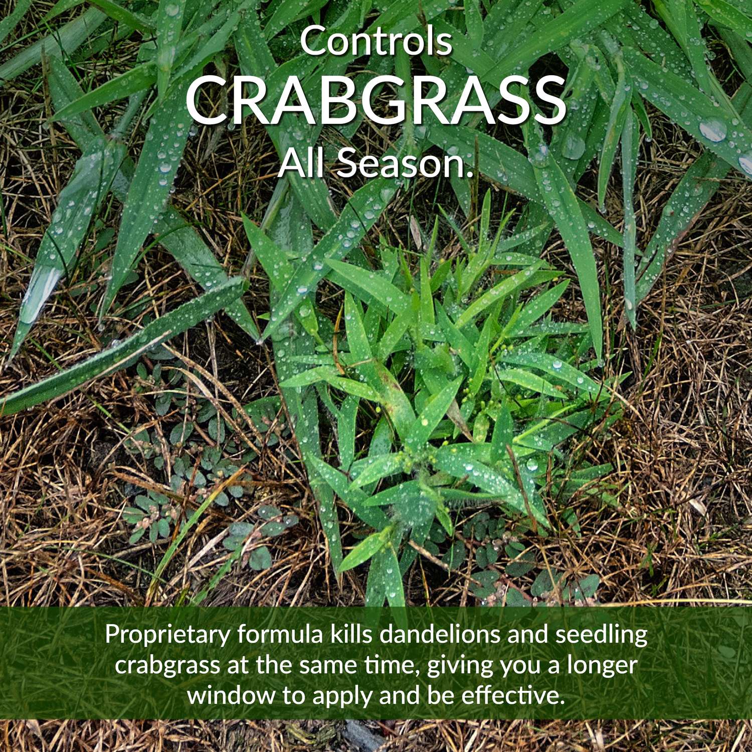  GreenView Fairway Formula Weed & Crabgrass Lawn Fertilizer For All Grasses 5000 Sq Ft