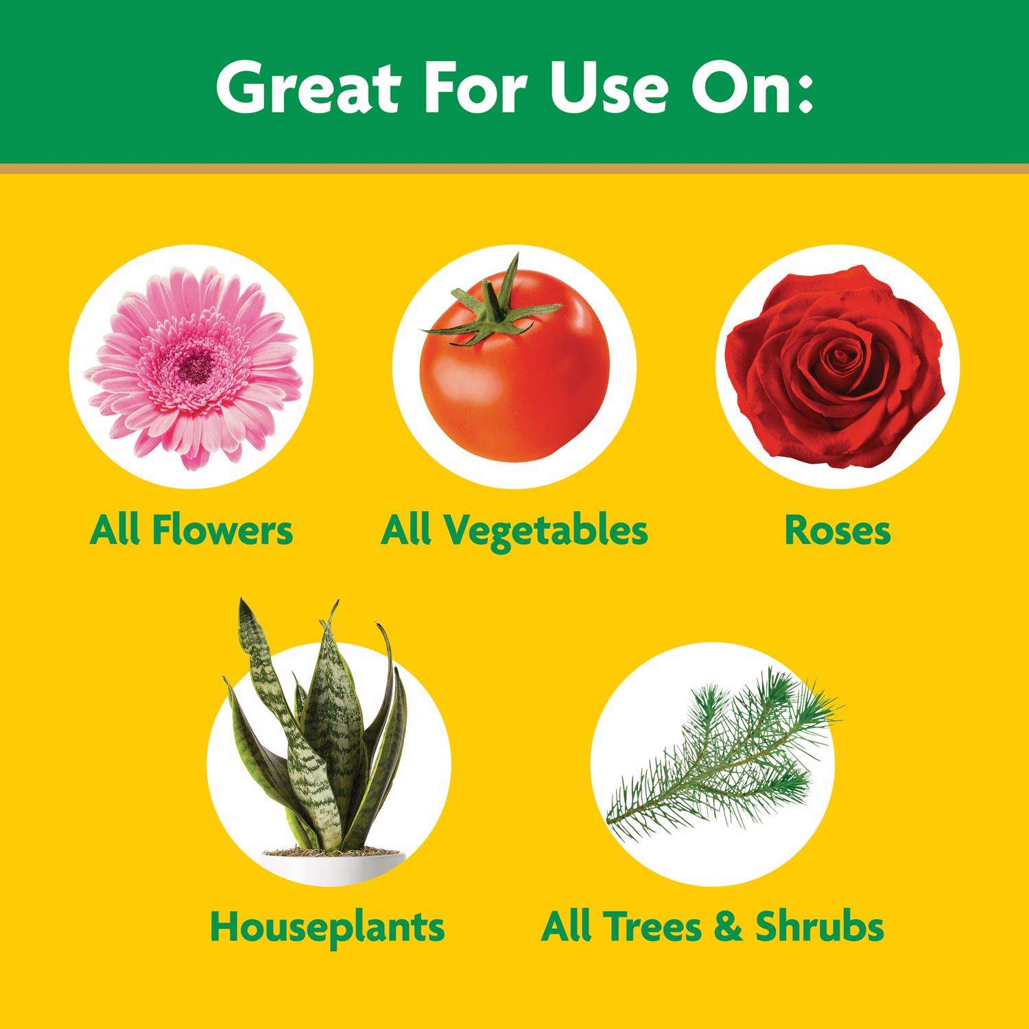  Miracle-Gro Granules All Purpose Plant Food 5.5 Lb