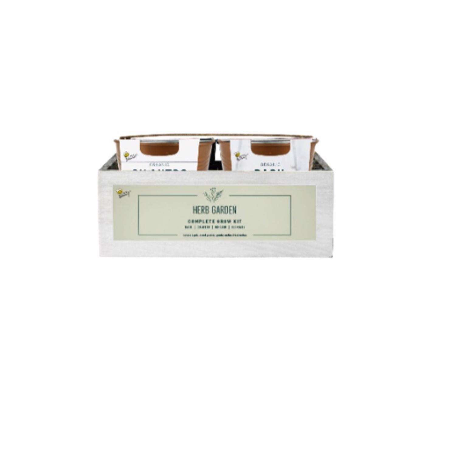  Buzzy Assorted Herbs Gift Box Planter 4 Pk