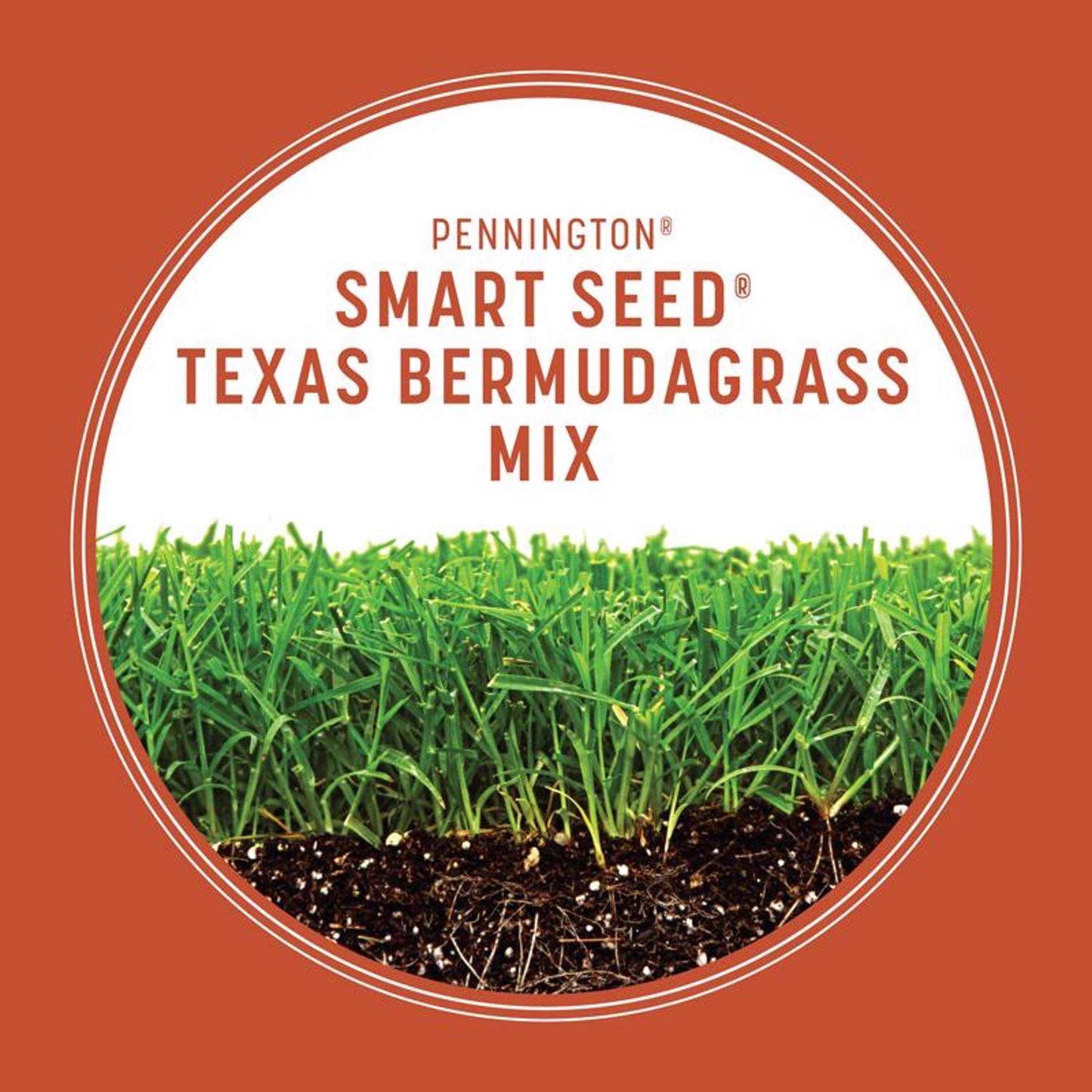  Pennington Smart Seed Texas Bermuda Full Sun Grass Seed And Fertilizer 1.75 Lb