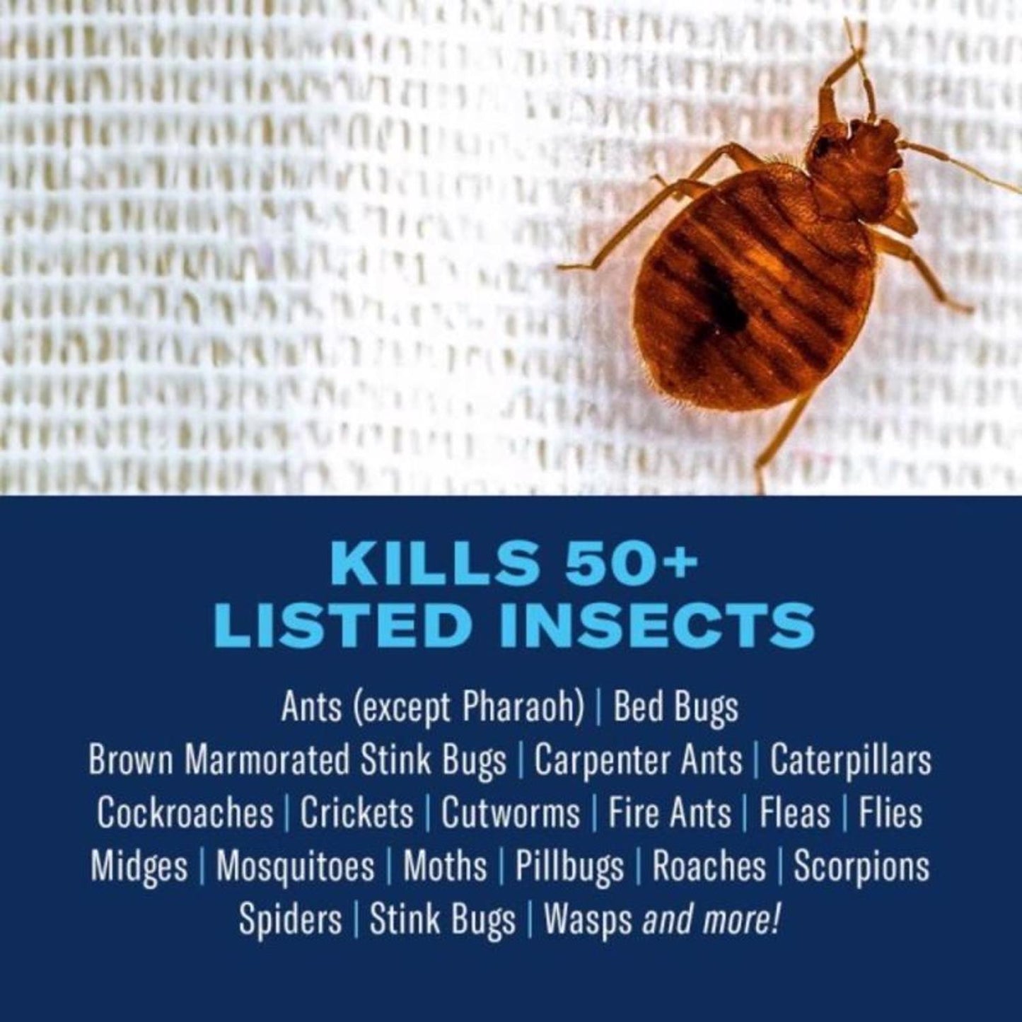  BioAdvanced Home Pest Insect Killer Continuous Spray 15.7 Oz