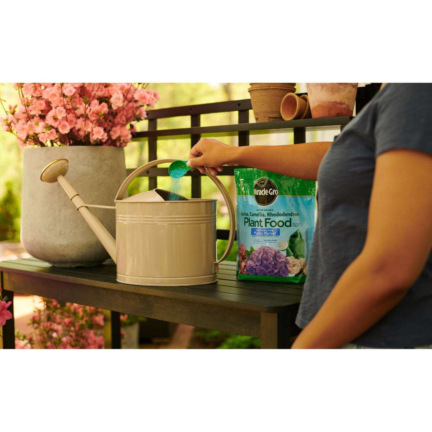  Miracle-Gro Powder Acid-Loving Plants Of Azalea, Camellia, Rhododendron Plant Food 5 Lb