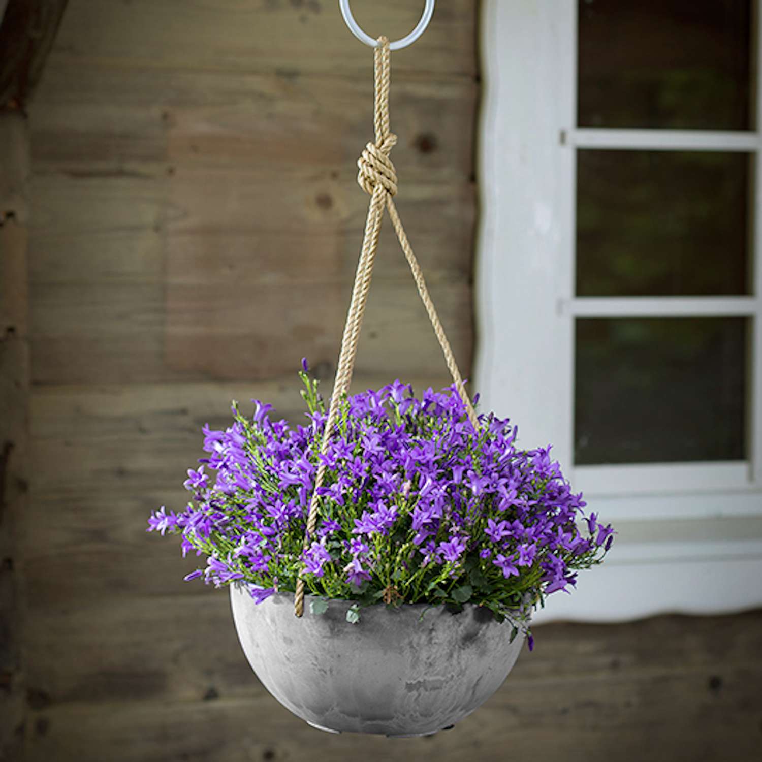  Novelty Artstone 5.9 In. H X 12.2 In. W X 12.2 In. D X 12.2 In. D Resin Napa Hanging Planter Gray