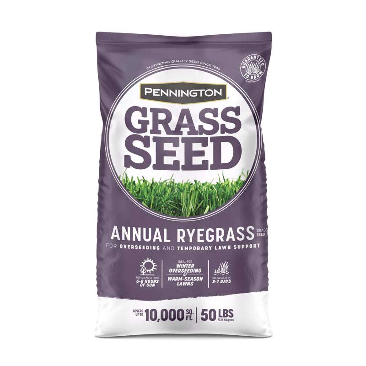  Pennington Annual Ryegrass Full Sun/Light Shade Grass Seed 50 Lb