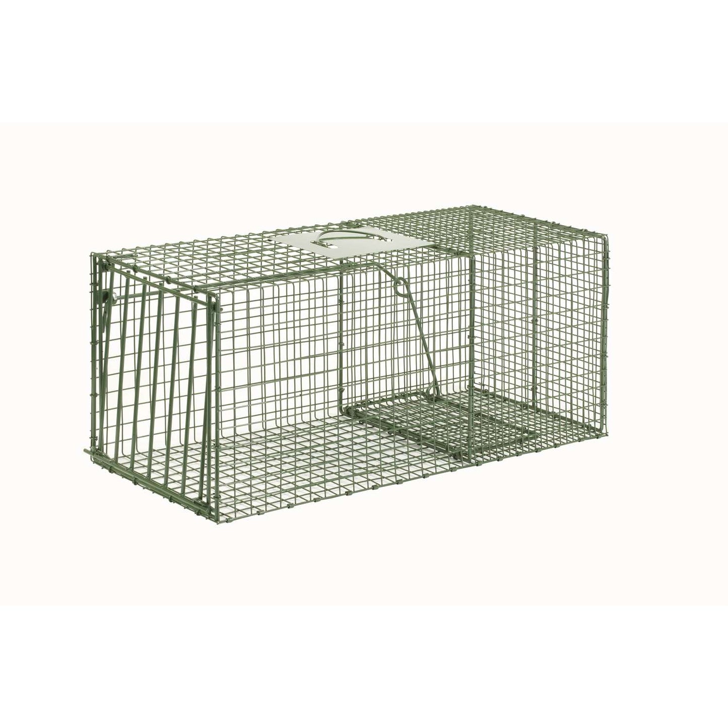  Duke Trap Large Live Catch Cage Trap For Raccoons 1 Pk