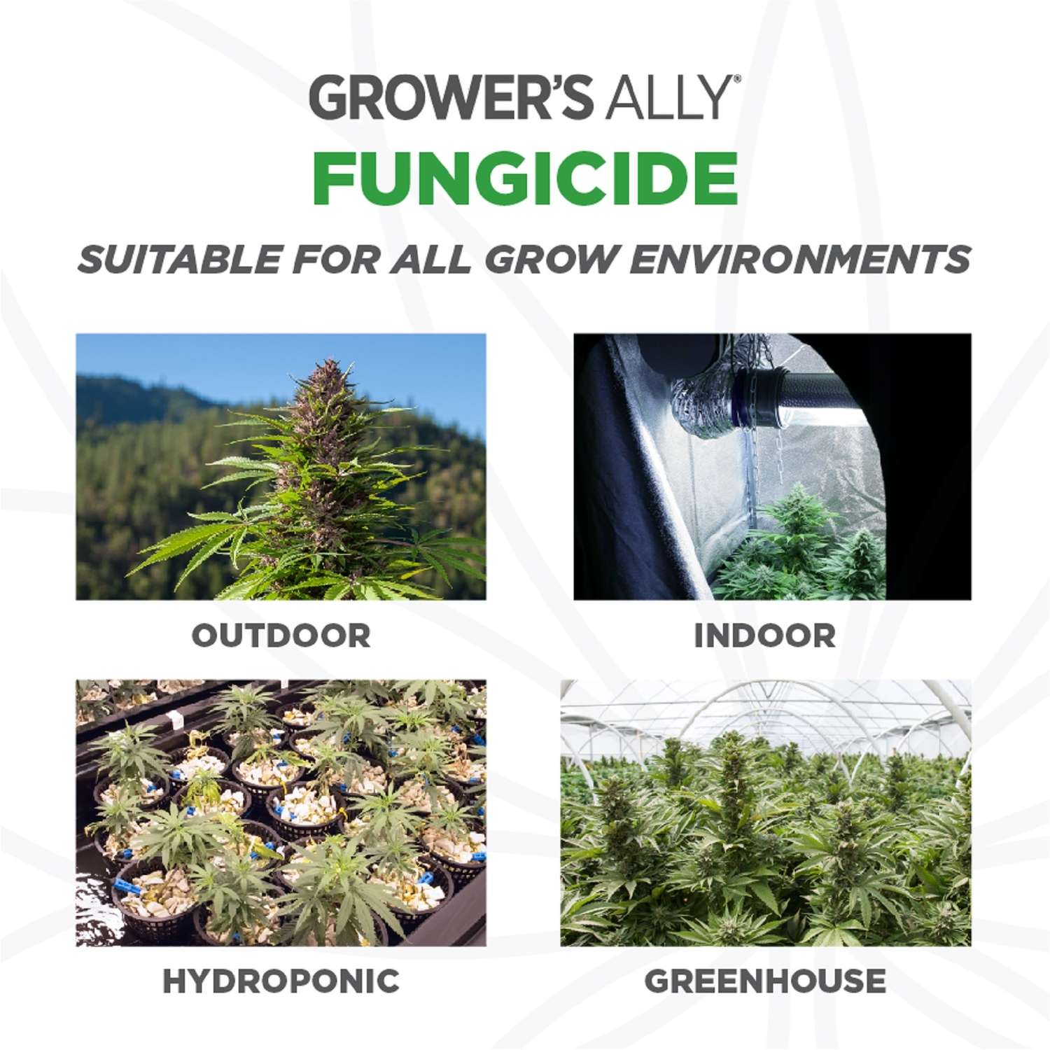  Grower's Ally Organic Liquid Fungicide 24 Oz