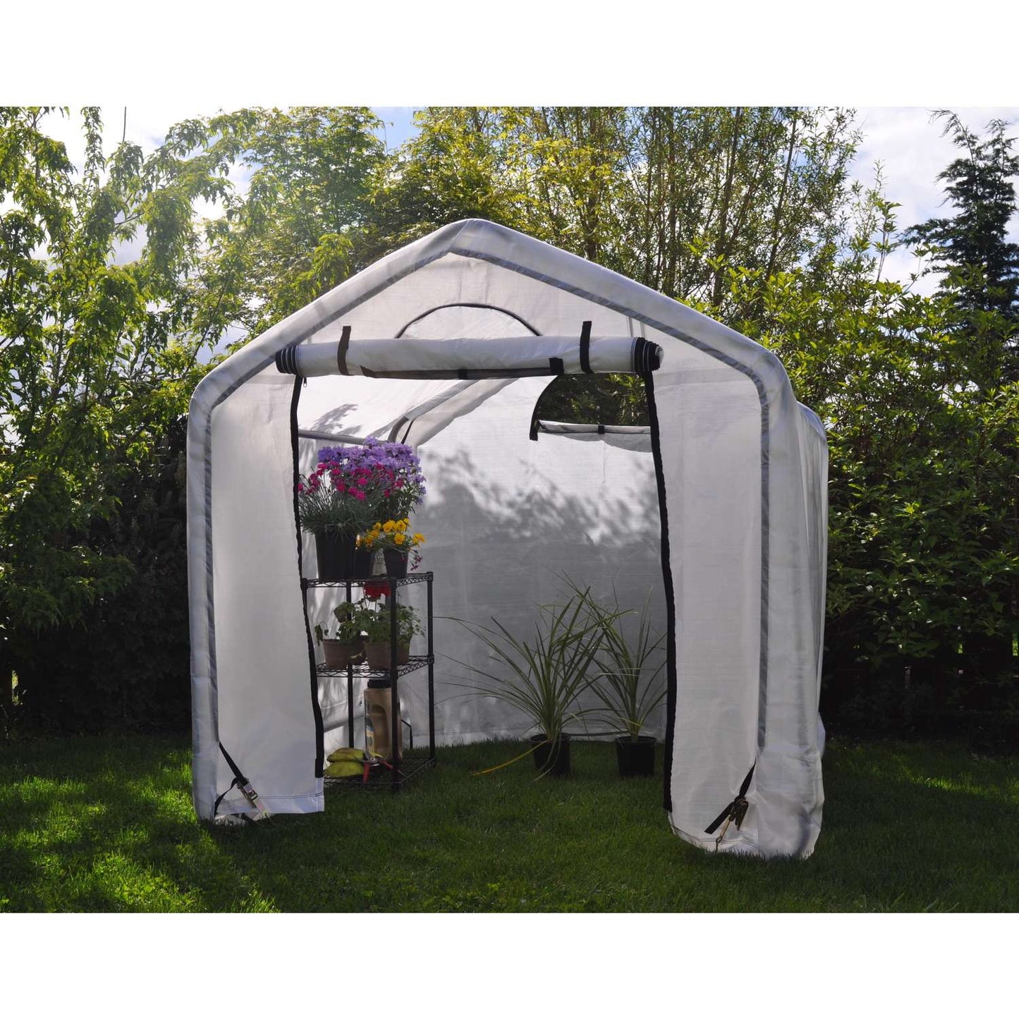  Foremost Dry Top Grow Translucent 72 In. H X 72 In. W Greenhouse