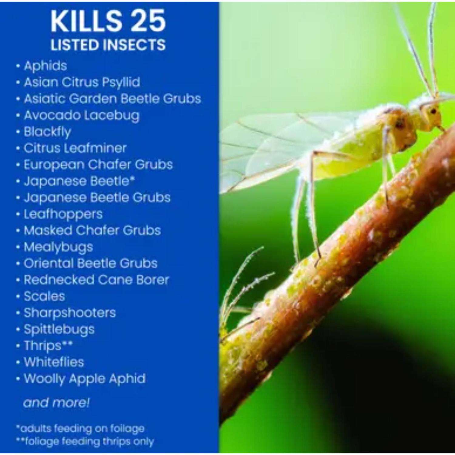  BioAdvanced Insect Killer Liquid Concentrate 32 Oz