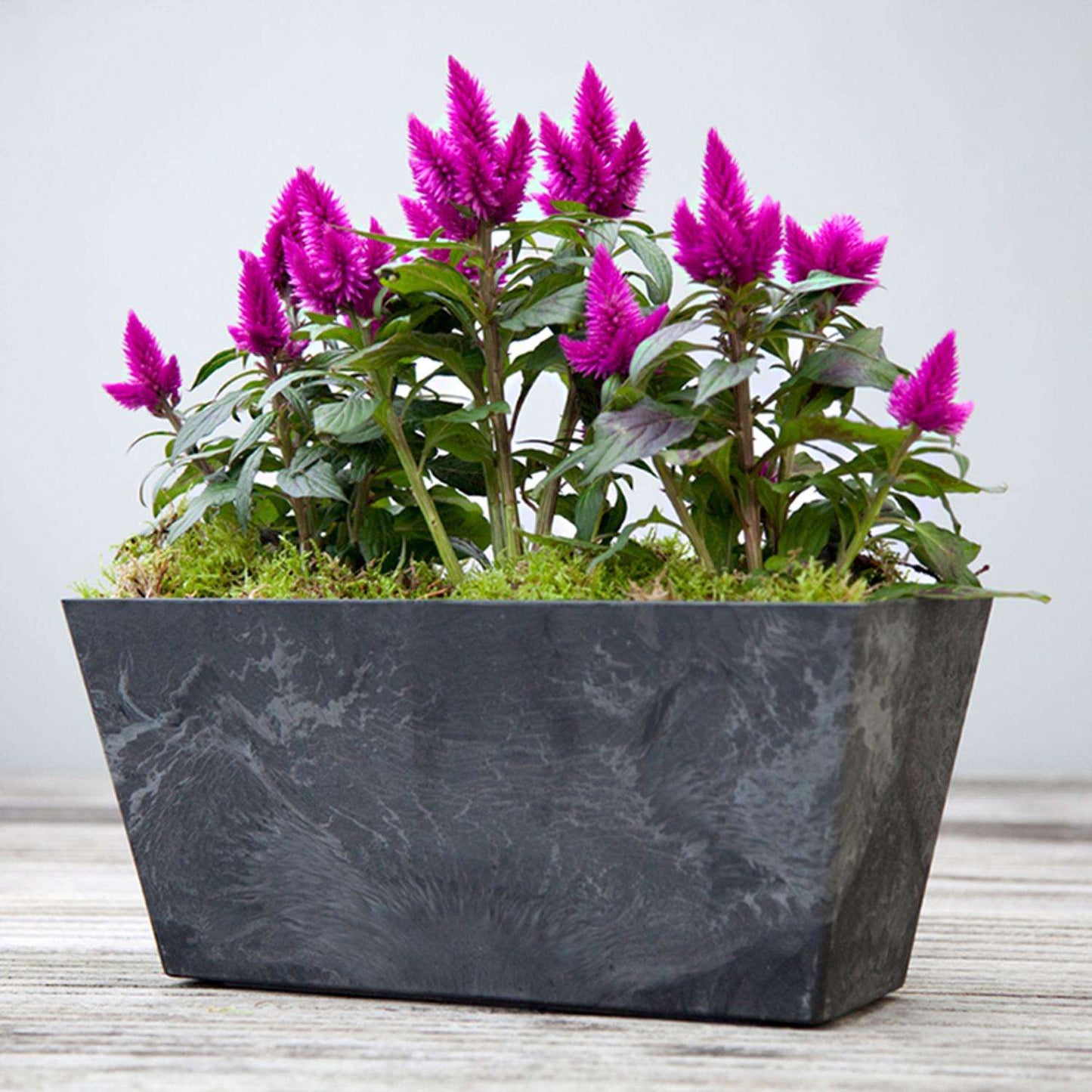  Novelty ArtStone 6.8 In. H X 14.5 In. W X 6.5 In. D Resin Ella Window Box Black