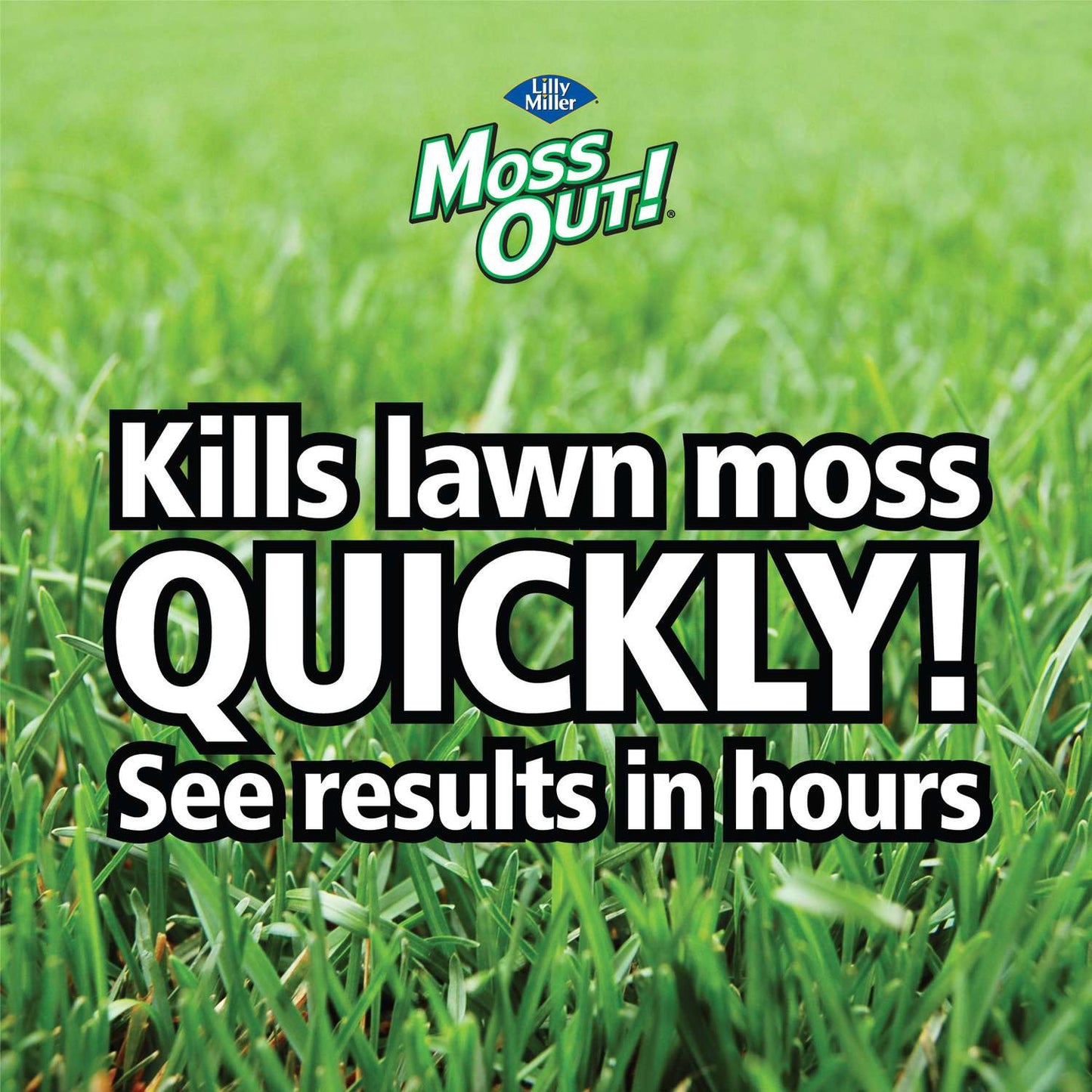  Lilly Miller Moss Out Moss Killer Granules 40 Lb