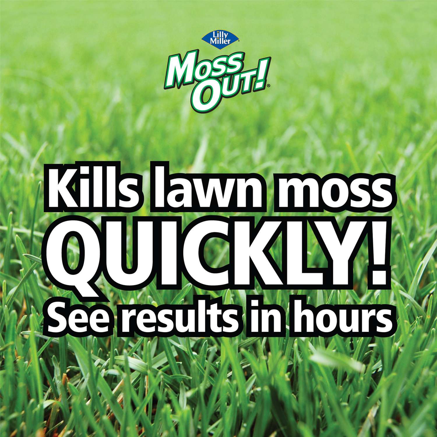  Lilly Miller Moss Out Moss Killer Granules 40 Lb