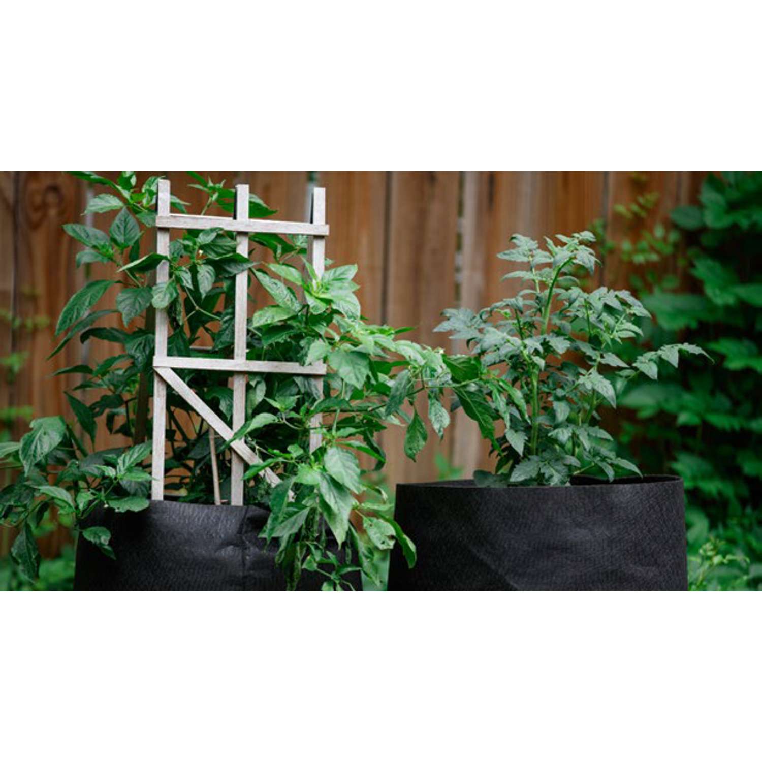  Smart Pot Geo-Thermal Fabric Grow Bag Planter Black