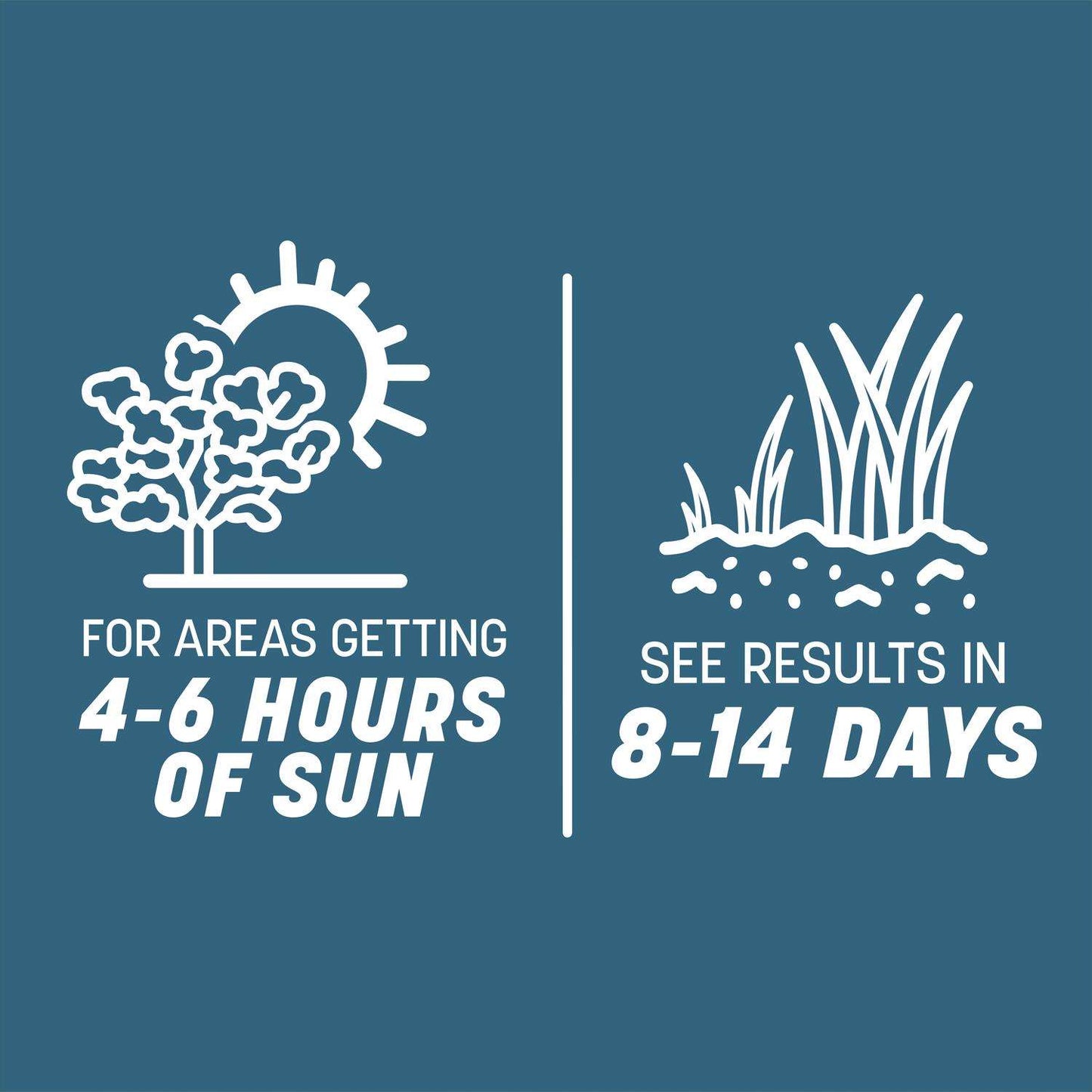  Pennington Smart Seed Pennsylvania State Mixed Sun Or Shade Grass Seed And Fertilizer 3 Lb